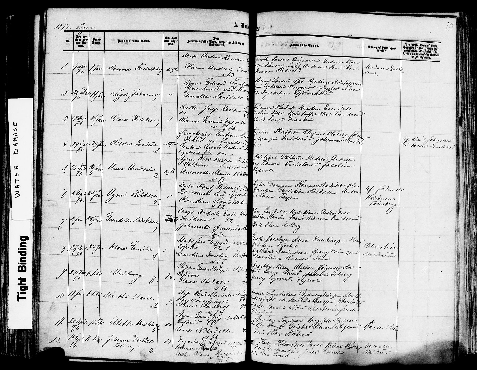 Nøtterøy kirkebøker, AV/SAKO-A-354/F/Fa/L0007: Ministerialbok nr. I 7, 1865-1877, s. 173