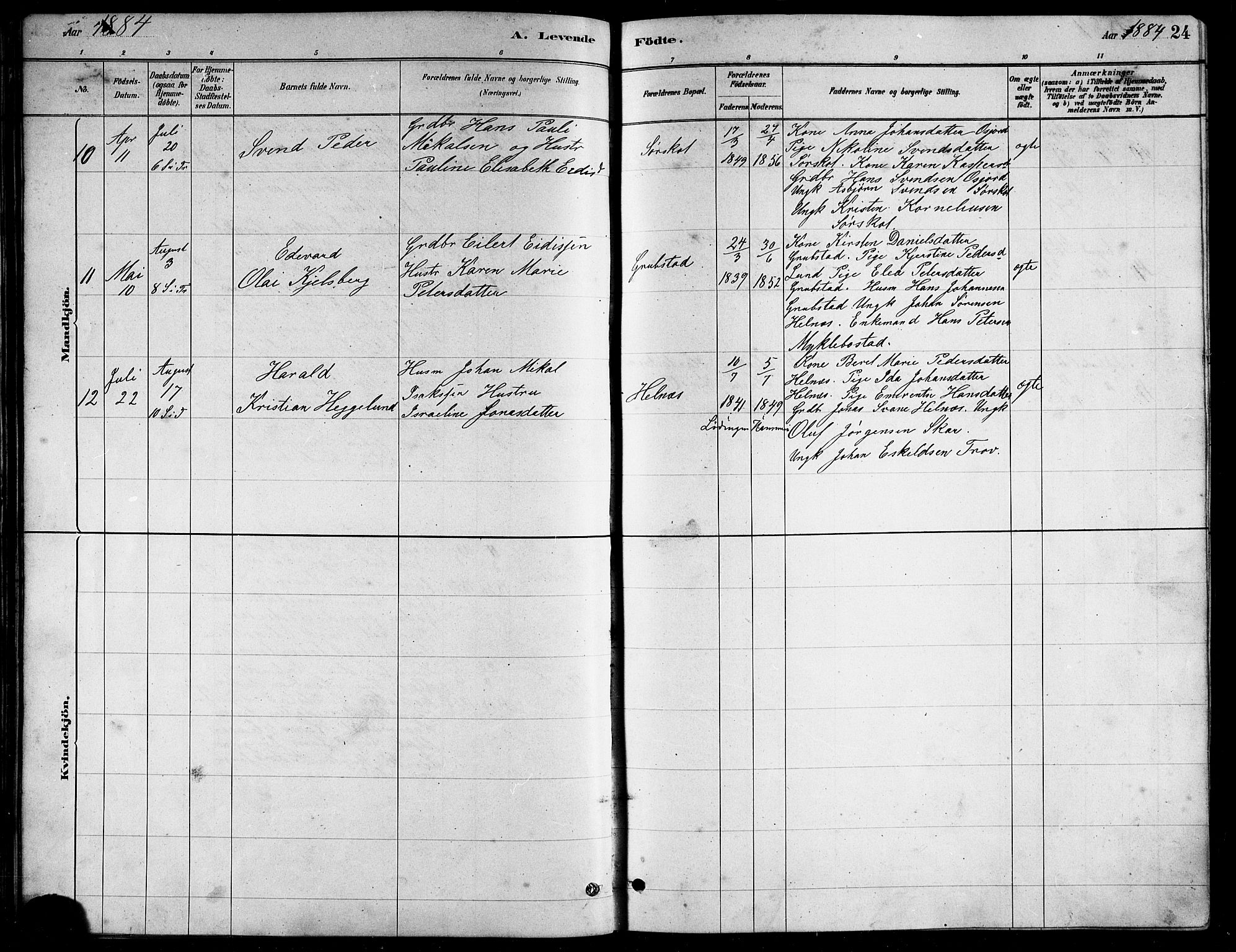 Ministerialprotokoller, klokkerbøker og fødselsregistre - Nordland, AV/SAT-A-1459/857/L0828: Klokkerbok nr. 857C03, 1879-1908, s. 24