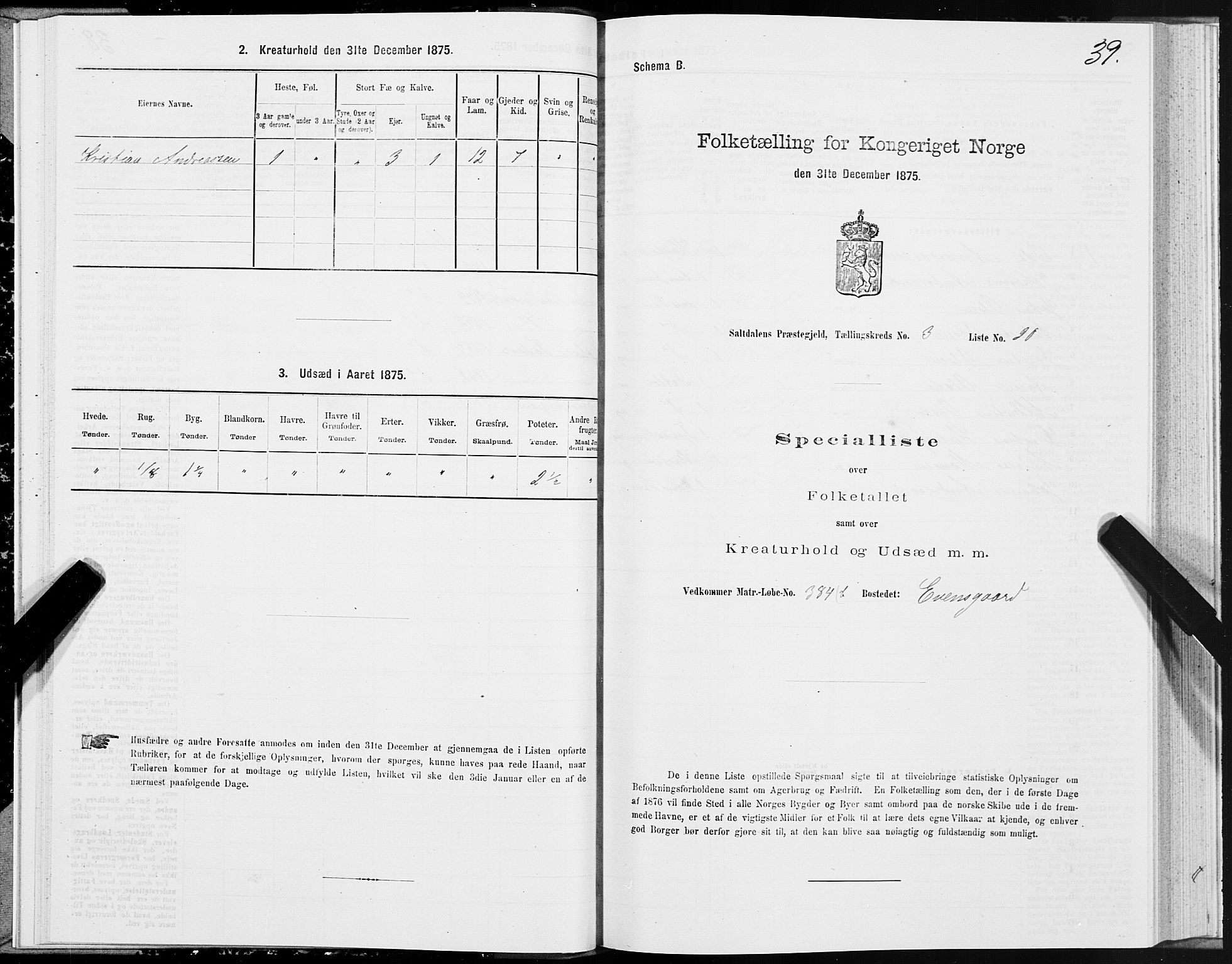 SAT, Folketelling 1875 for 1840P Saltdal prestegjeld, 1875, s. 2039