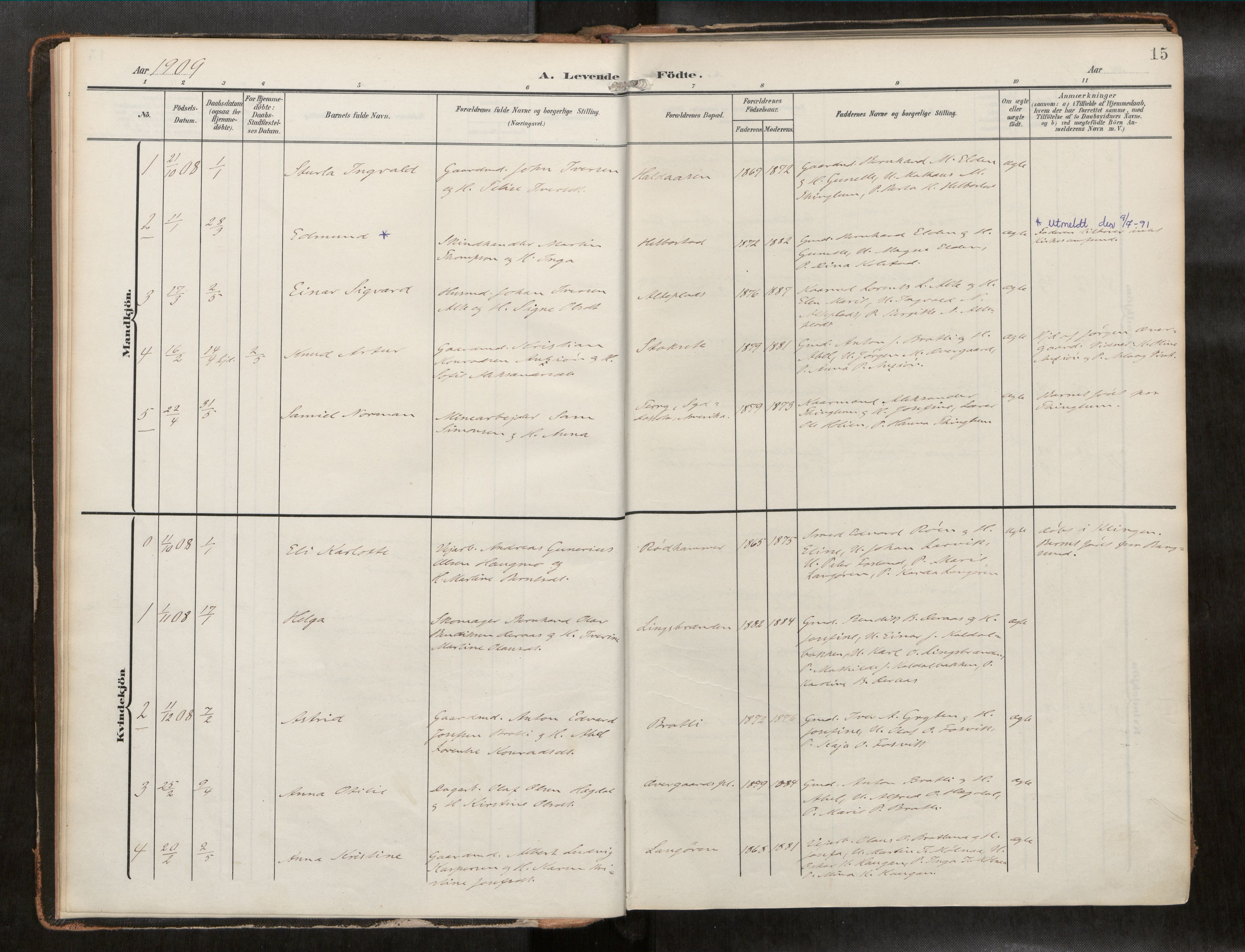 Ministerialprotokoller, klokkerbøker og fødselsregistre - Nord-Trøndelag, AV/SAT-A-1458/742/L0409a: Ministerialbok nr. 742A03, 1906-1924, s. 15
