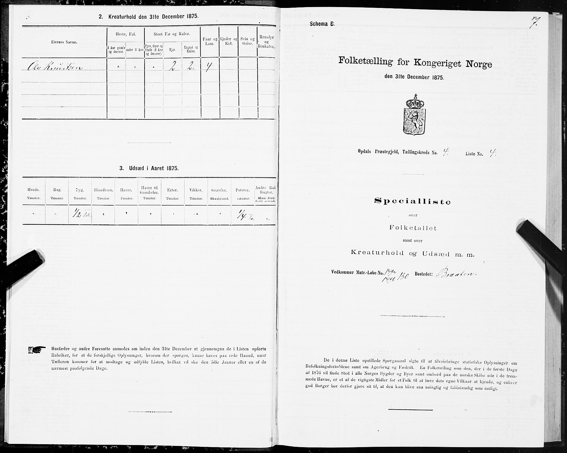 SAT, Folketelling 1875 for 1634P Oppdal prestegjeld, 1875, s. 3007