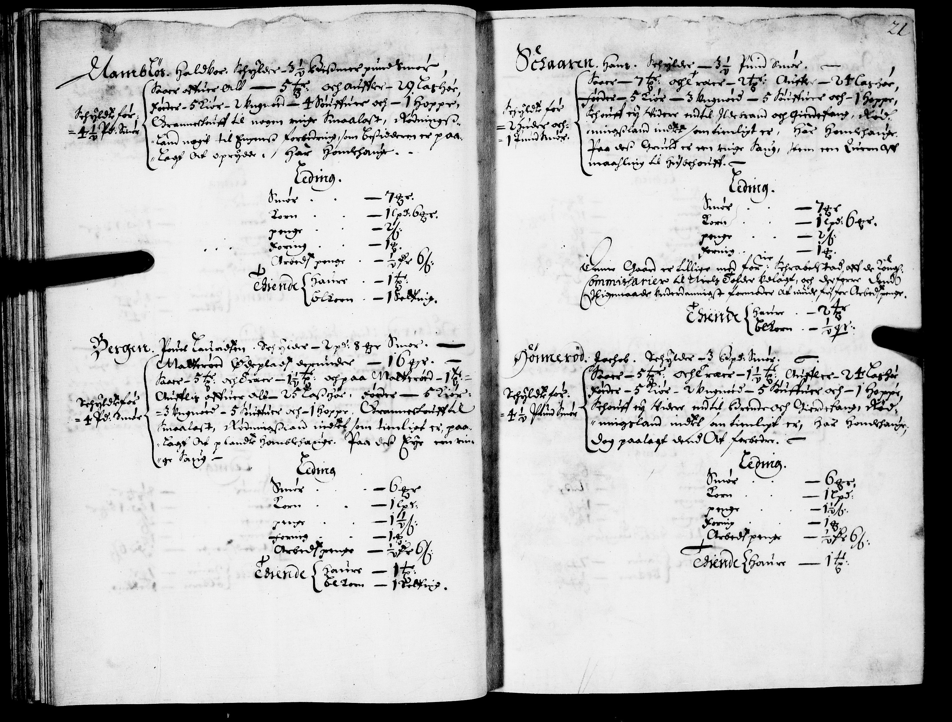 Rentekammeret inntil 1814, Realistisk ordnet avdeling, AV/RA-EA-4070/N/Nb/Nba/L0021: Brunla len, 1667, s. 20b-21a