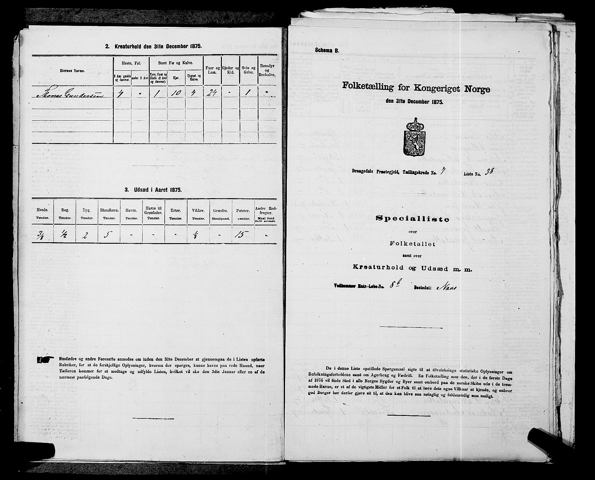 SAKO, Folketelling 1875 for 0817P Drangedal prestegjeld, 1875, s. 746