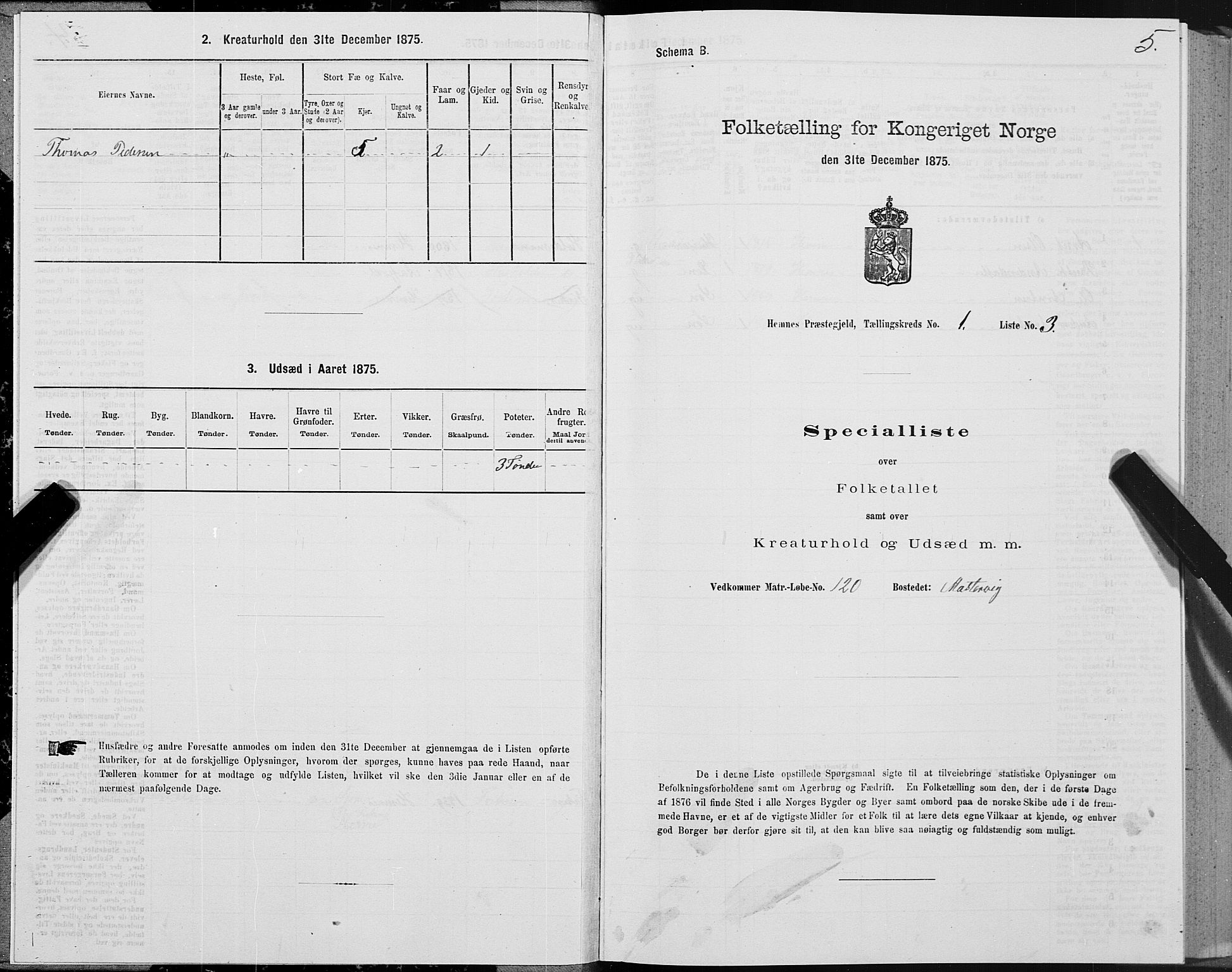 SAT, Folketelling 1875 for 1832P Hemnes prestegjeld, 1875, s. 1005