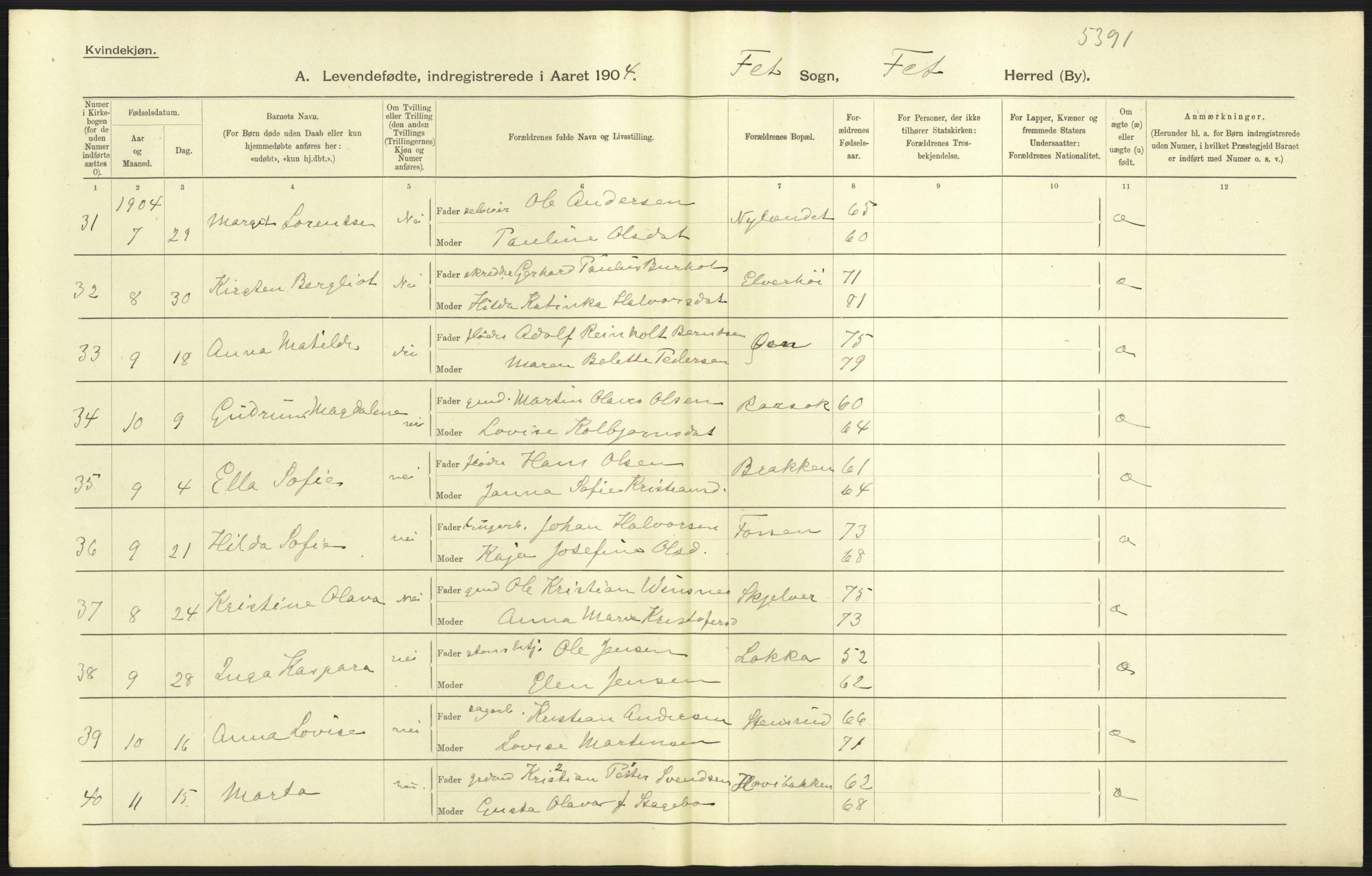 Statistisk sentralbyrå, Sosiodemografiske emner, Befolkning, AV/RA-S-2228/D/Df/Dfa/Dfab/L0002: Akershus amt: Fødte, gifte, døde, 1904, s. 75