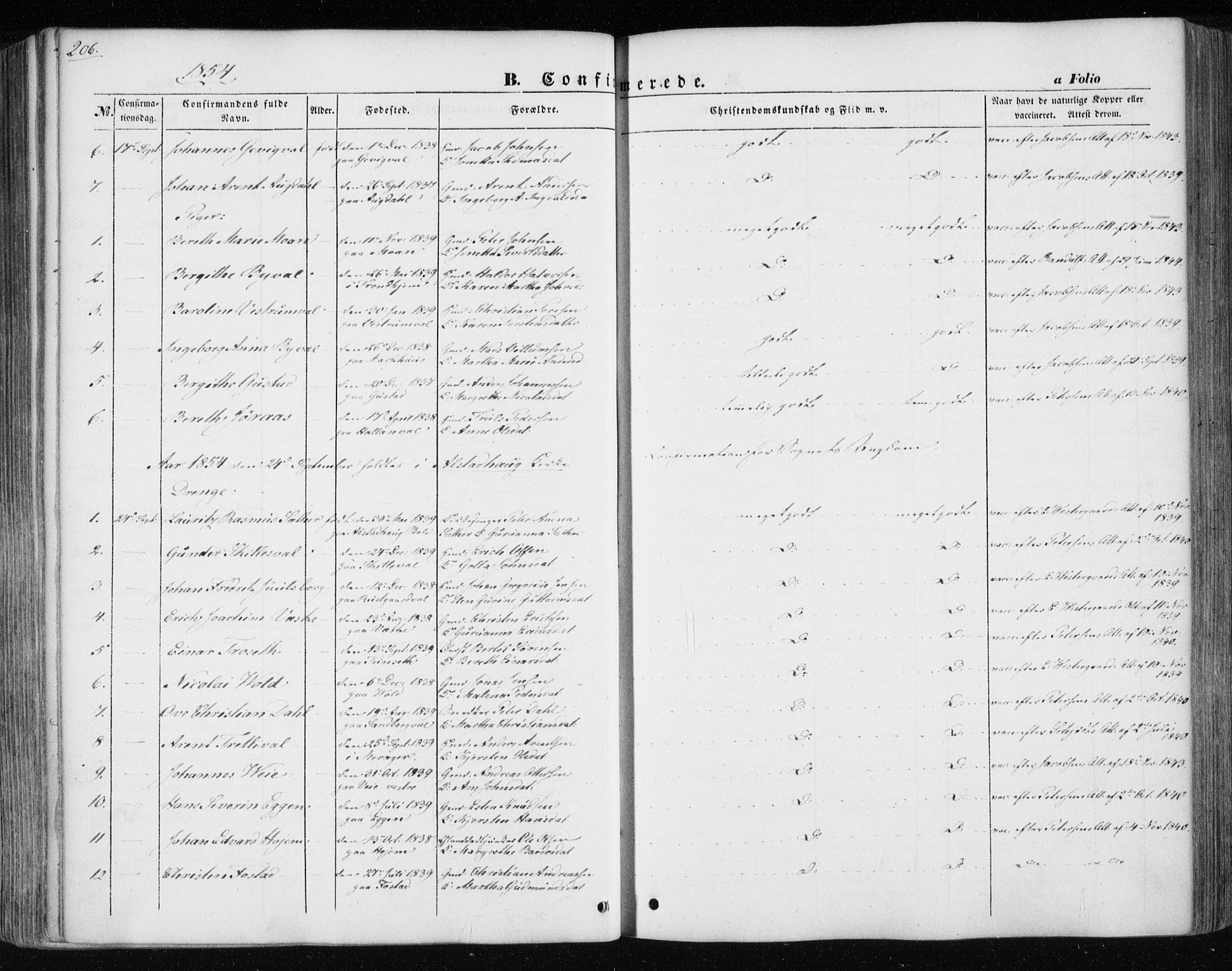 Ministerialprotokoller, klokkerbøker og fødselsregistre - Nord-Trøndelag, SAT/A-1458/717/L0154: Ministerialbok nr. 717A07 /1, 1850-1862, s. 206
