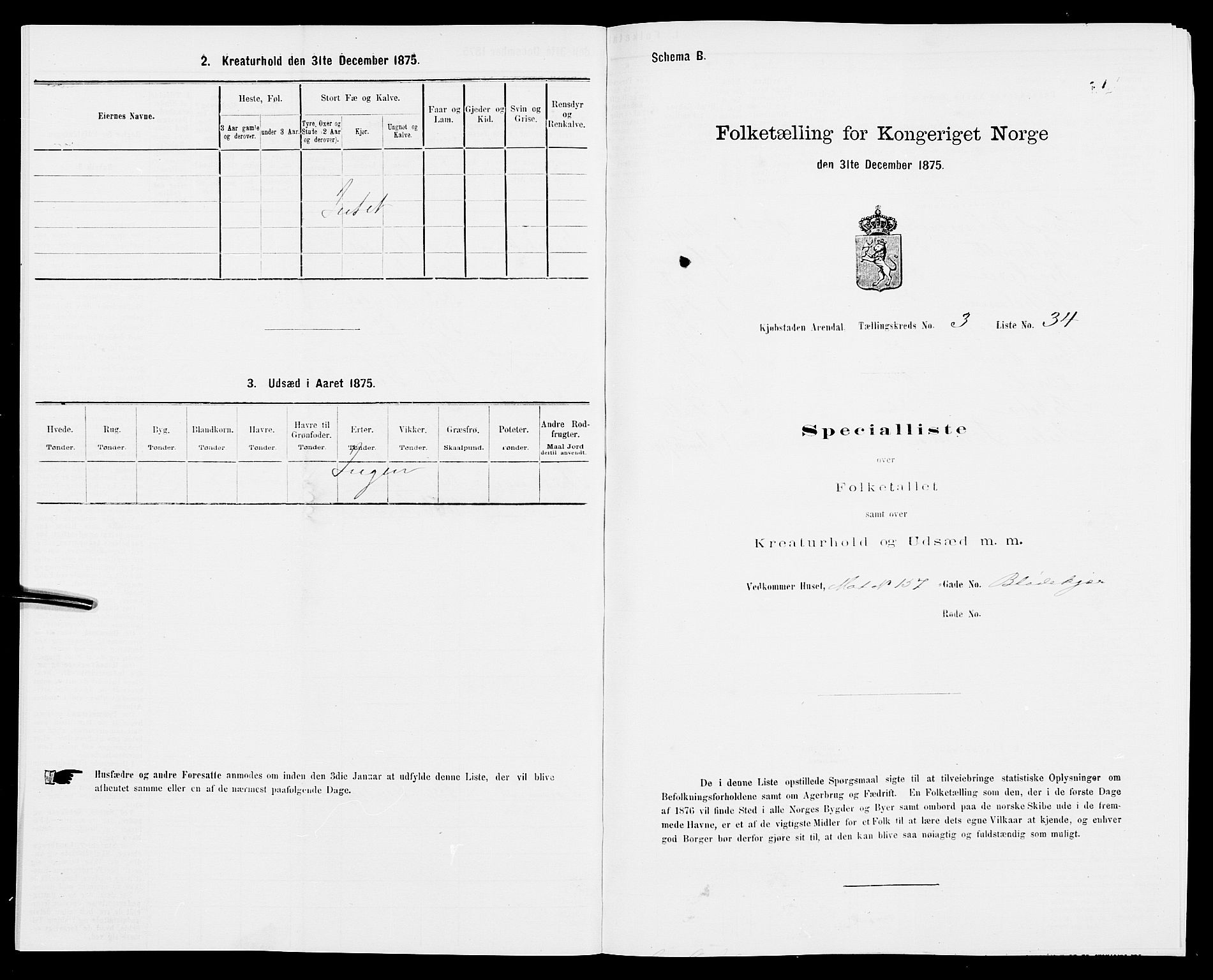 SAK, Folketelling 1875 for 0903P Arendal prestegjeld, 1875, s. 85