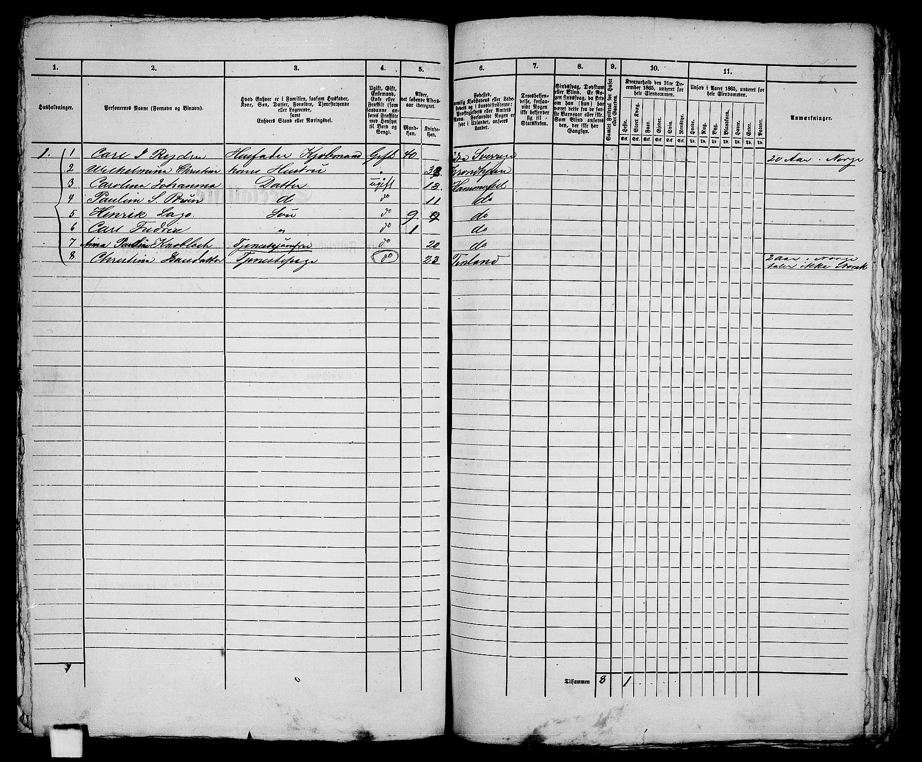 RA, Folketelling 1865 for 2001B Hammerfest prestegjeld, Hammerfest kjøpstad, 1865, s. 232