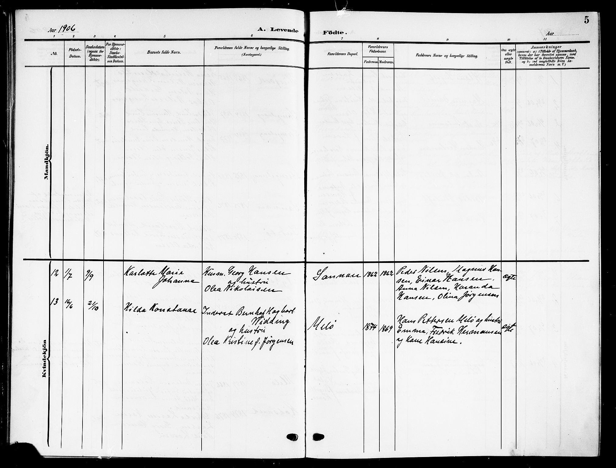 Ministerialprotokoller, klokkerbøker og fødselsregistre - Nordland, AV/SAT-A-1459/894/L1361: Klokkerbok nr. 894C04, 1905-1922, s. 5