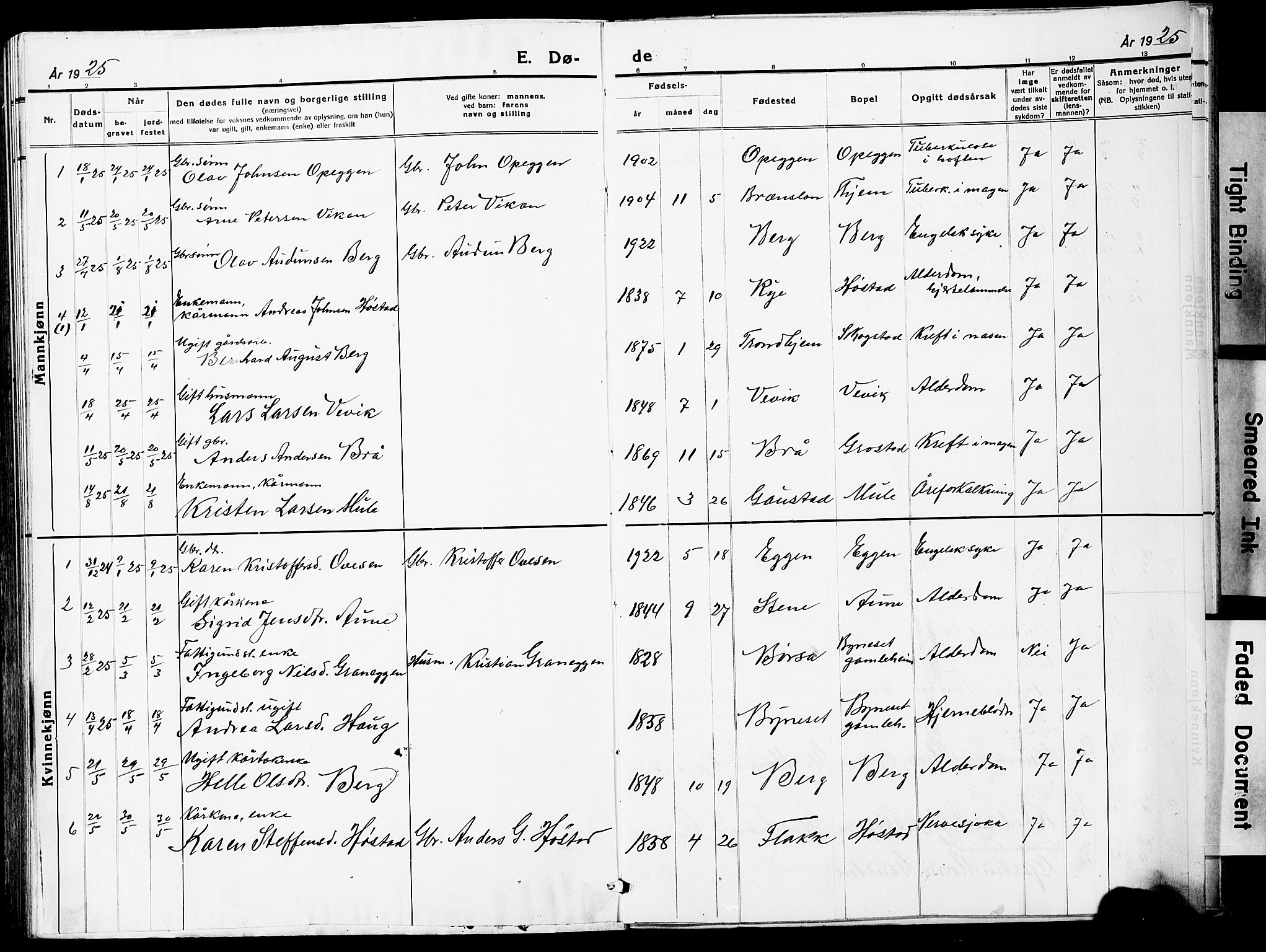 Ministerialprotokoller, klokkerbøker og fødselsregistre - Sør-Trøndelag, AV/SAT-A-1456/612/L0388: Klokkerbok nr. 612C04, 1909-1929