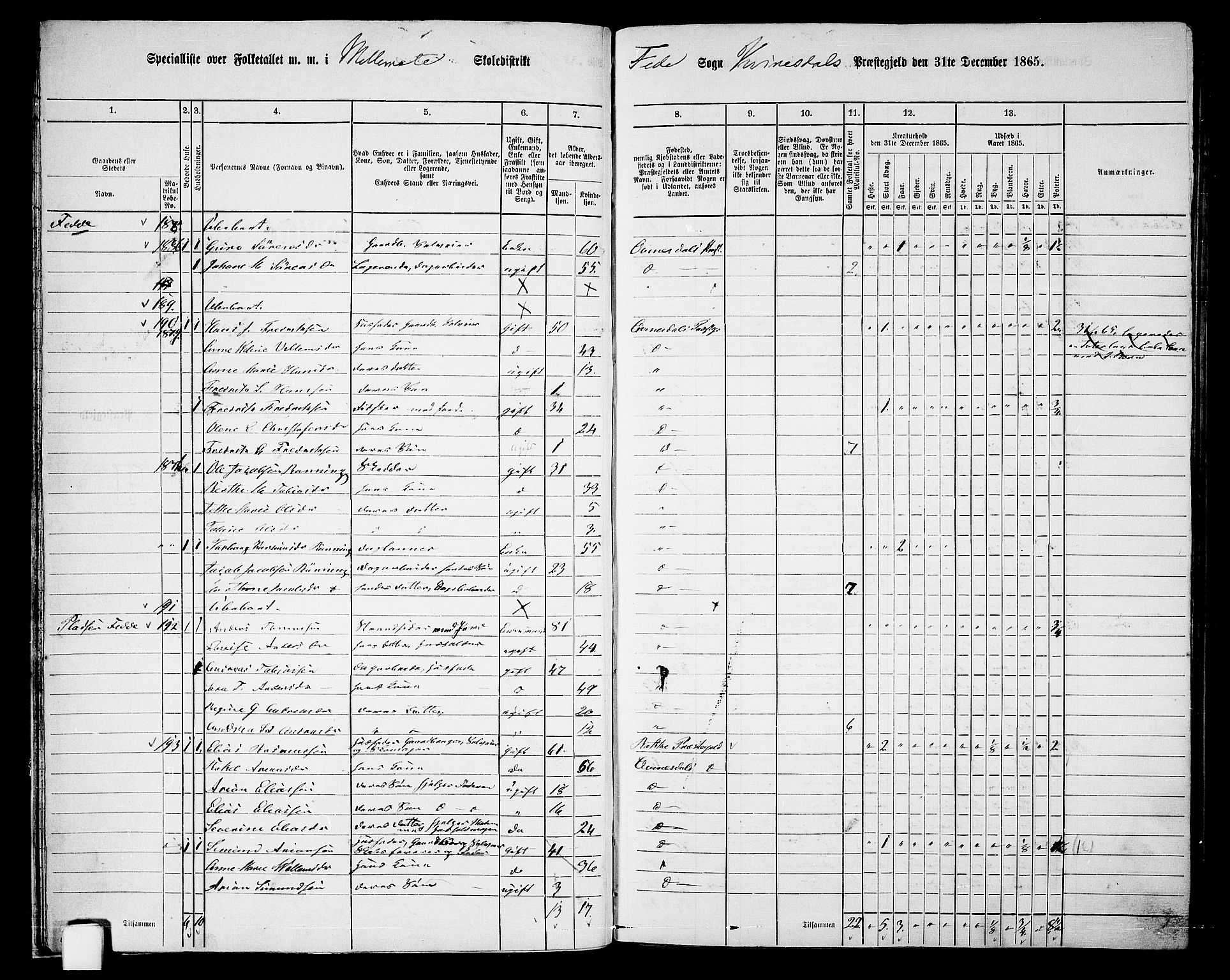RA, Folketelling 1865 for 1037P Kvinesdal prestegjeld, 1865, s. 32