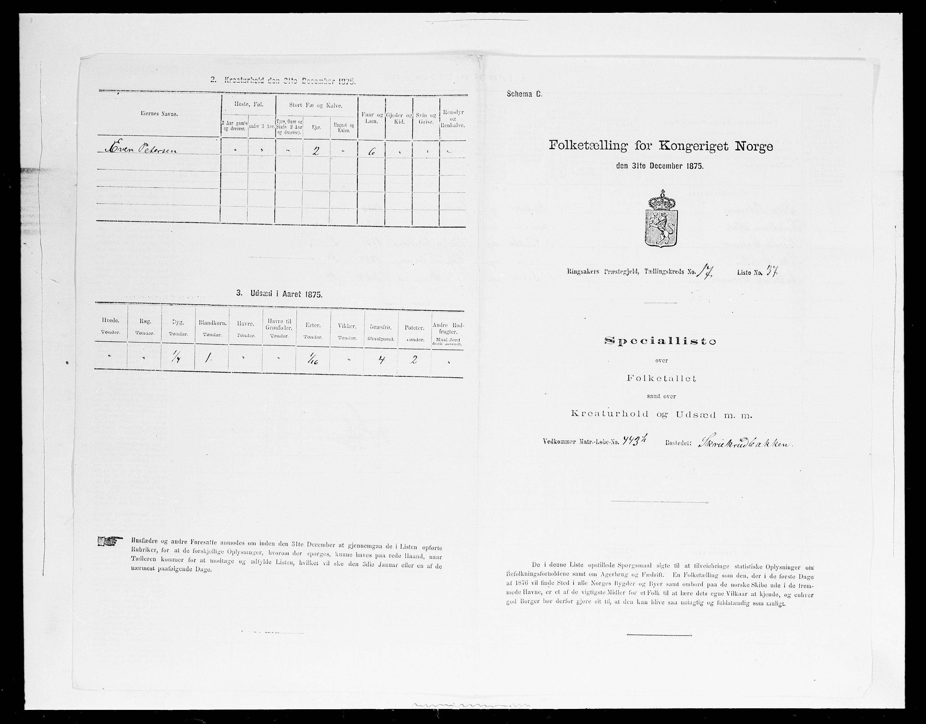 SAH, Folketelling 1875 for 0412P Ringsaker prestegjeld, 1875, s. 3466