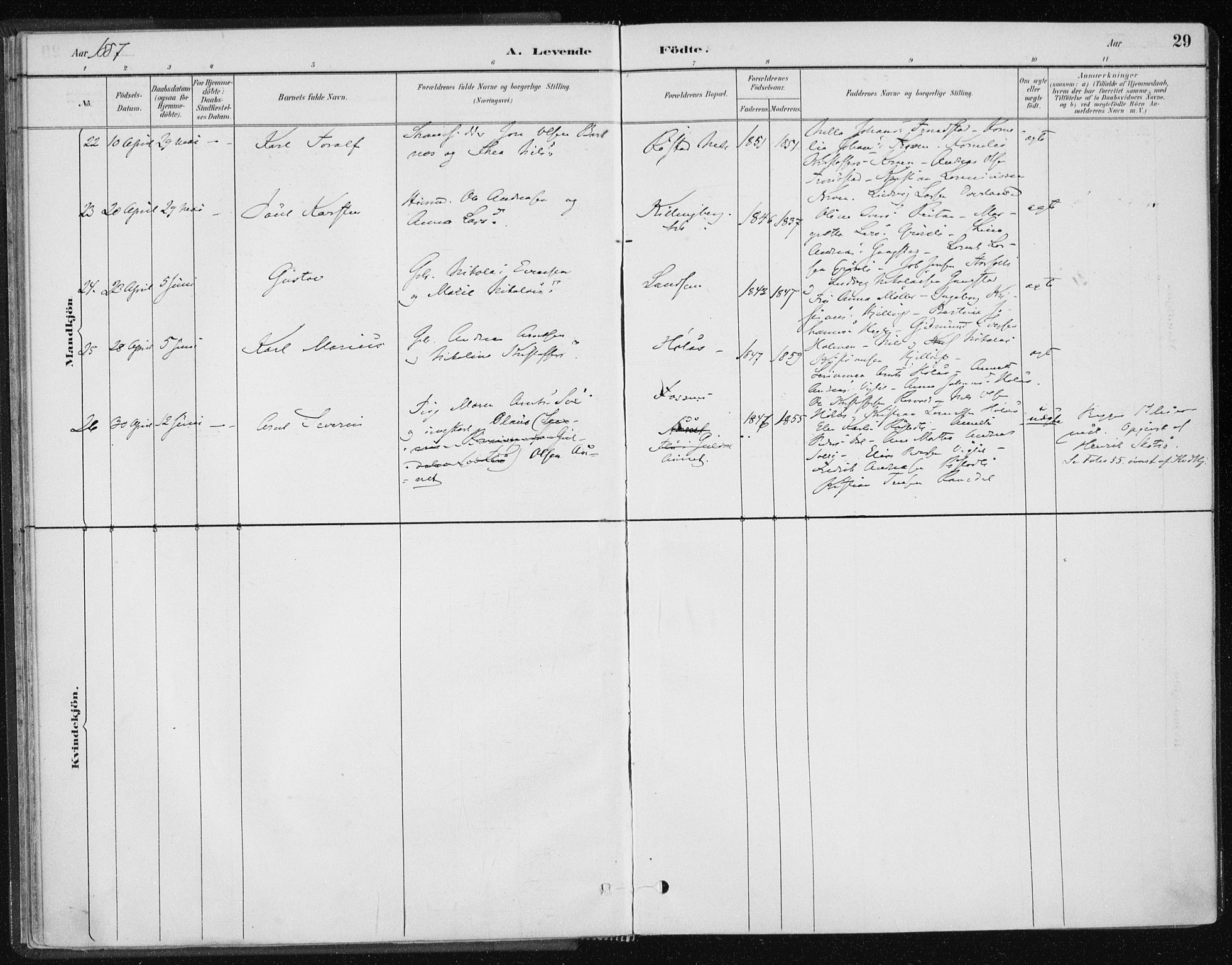 Ministerialprotokoller, klokkerbøker og fødselsregistre - Nord-Trøndelag, SAT/A-1458/701/L0010: Ministerialbok nr. 701A10, 1883-1899, s. 29