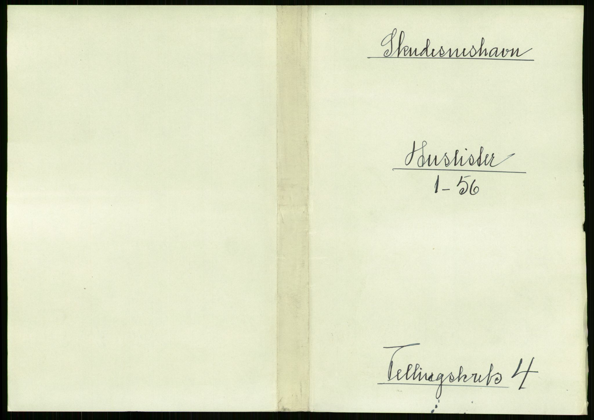 RA, Folketelling 1891 for 1104 Skudeneshavn ladested, 1891, s. 294