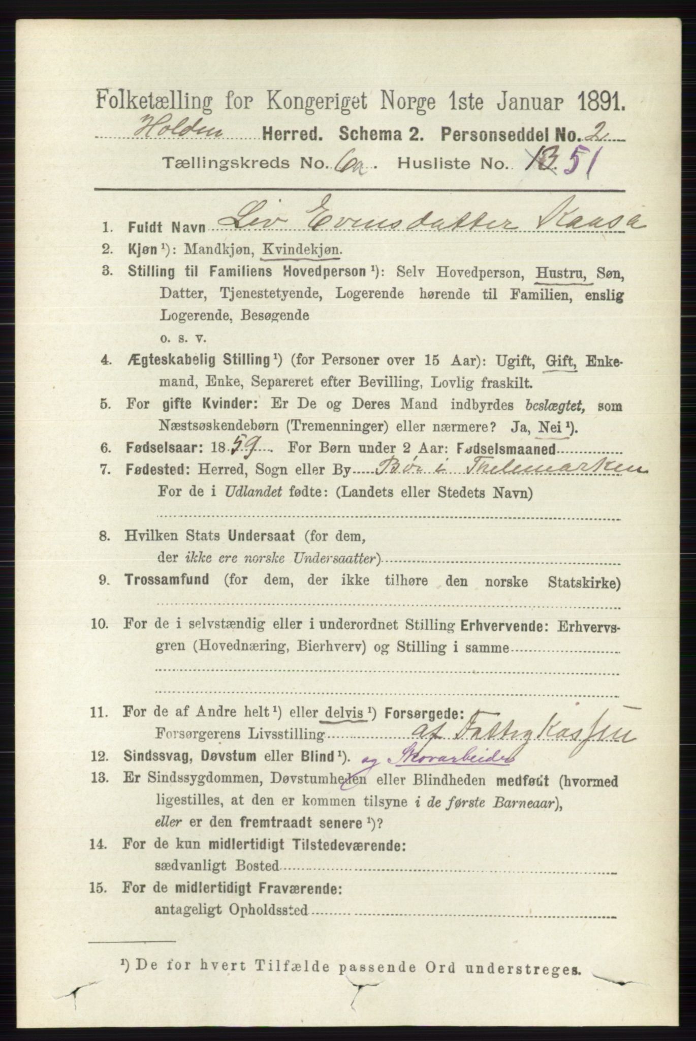 RA, Folketelling 1891 for 0819 Holla herred, 1891, s. 3145