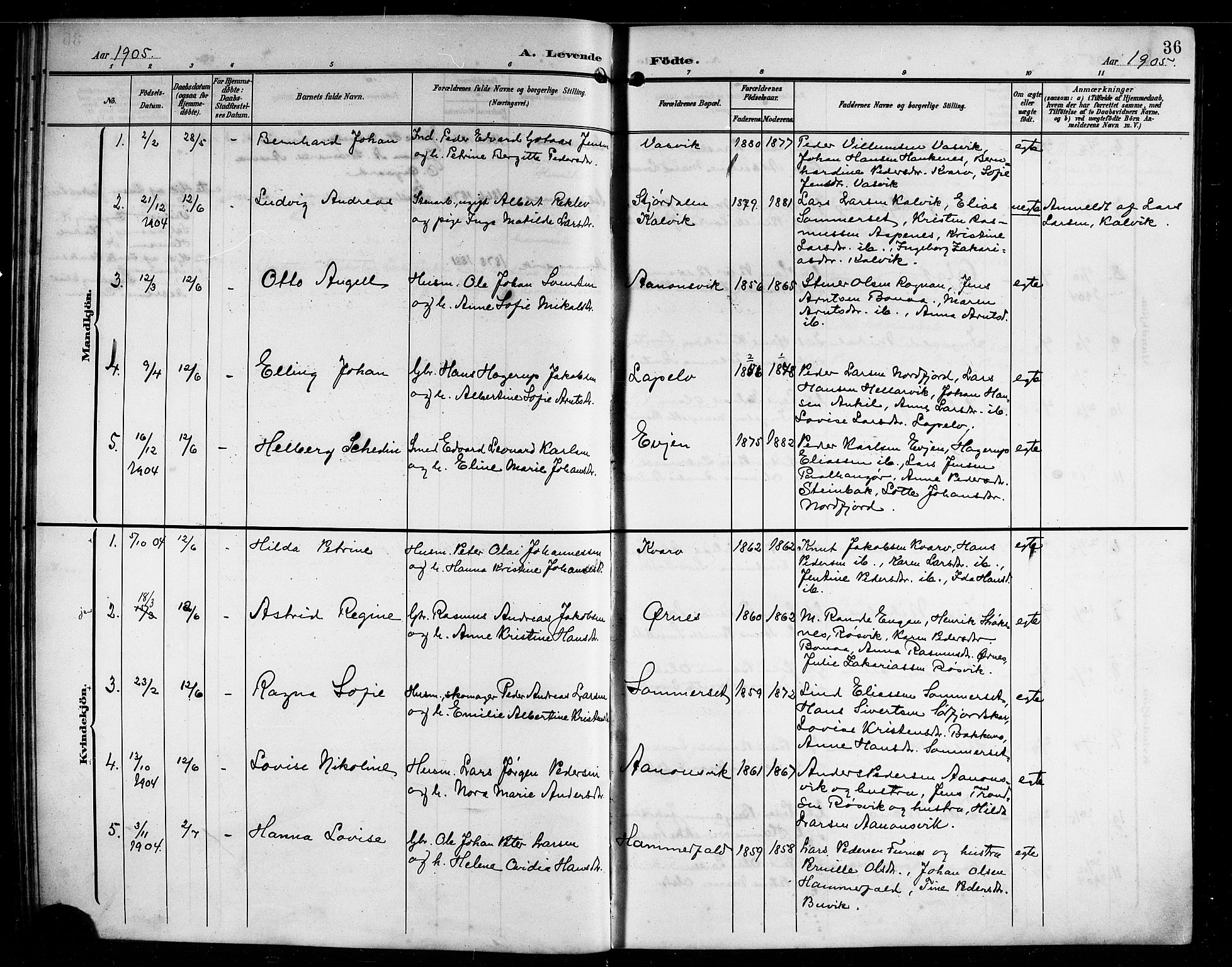 Ministerialprotokoller, klokkerbøker og fødselsregistre - Nordland, SAT/A-1459/854/L0786: Klokkerbok nr. 854C02, 1901-1912, s. 36