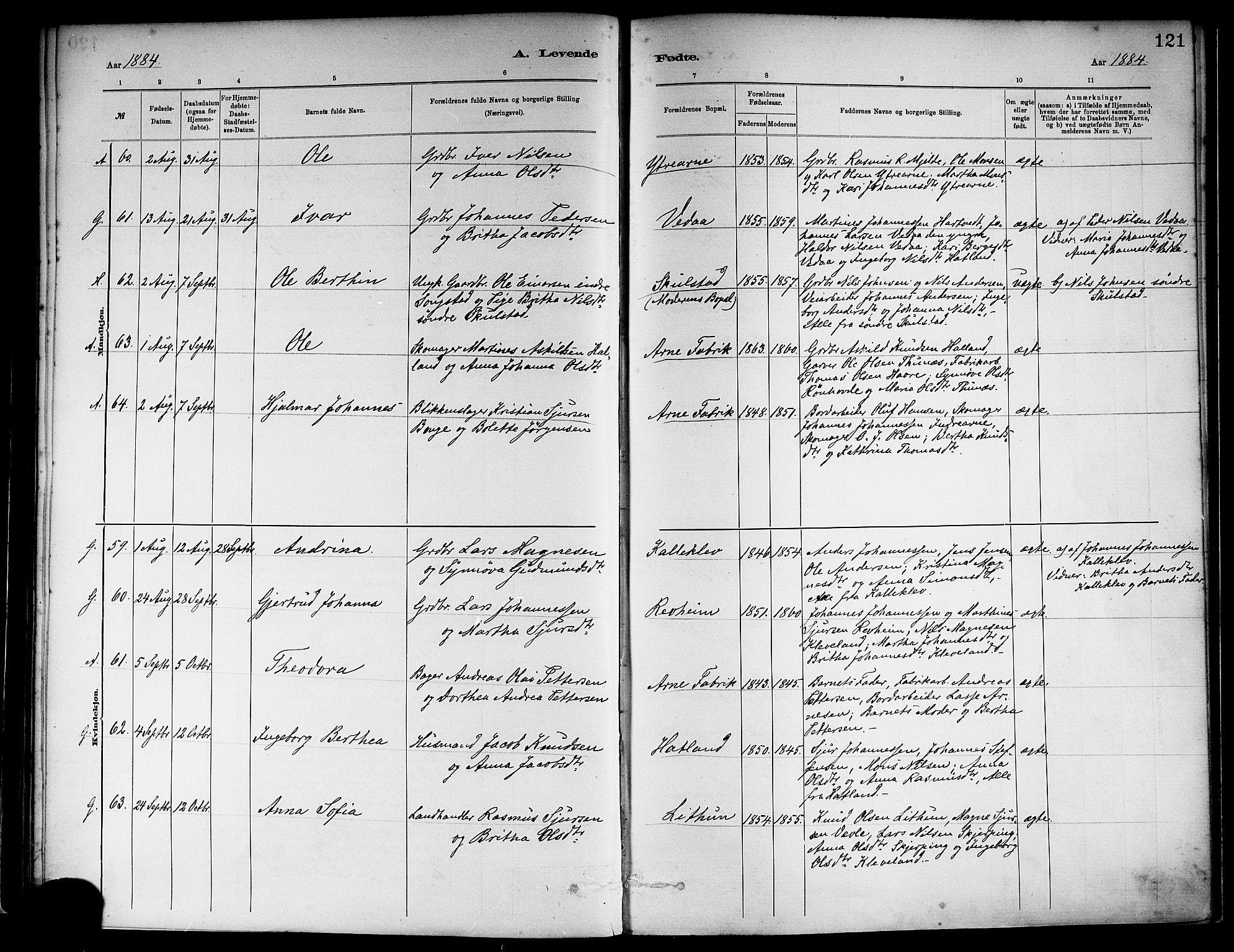 Haus sokneprestembete, SAB/A-75601/H/Haa: Ministerialbok nr. A 19I, 1878-1886, s. 121