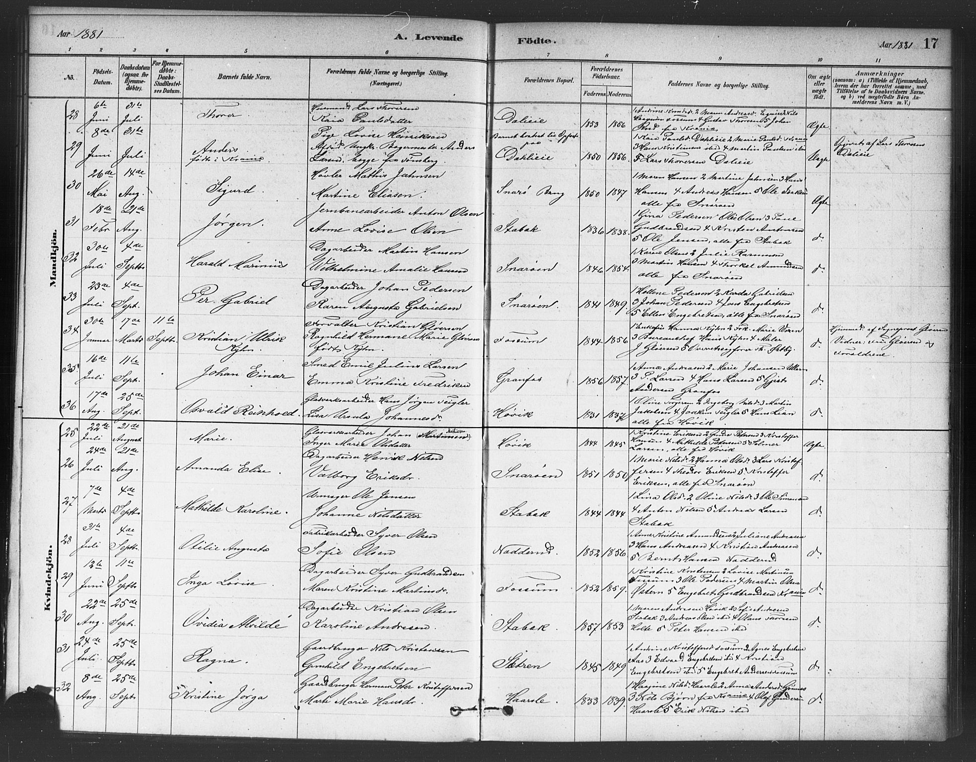 Asker prestekontor Kirkebøker, AV/SAO-A-10256a/F/Fc/L0001: Ministerialbok nr. III 1, 1879-1892, s. 17