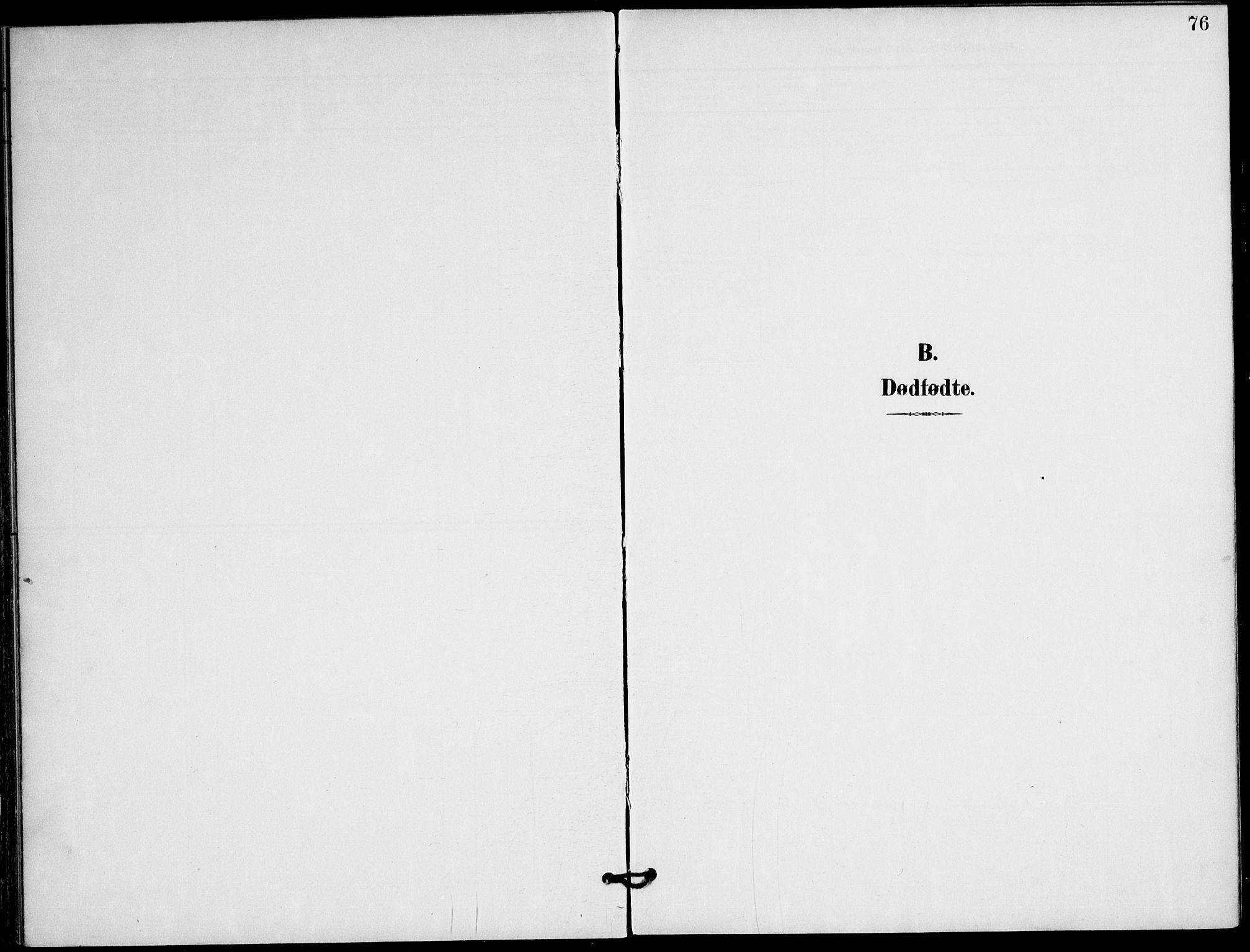 Ministerialprotokoller, klokkerbøker og fødselsregistre - Nordland, AV/SAT-A-1459/823/L0326: Ministerialbok nr. 823A03, 1899-1919, s. 76