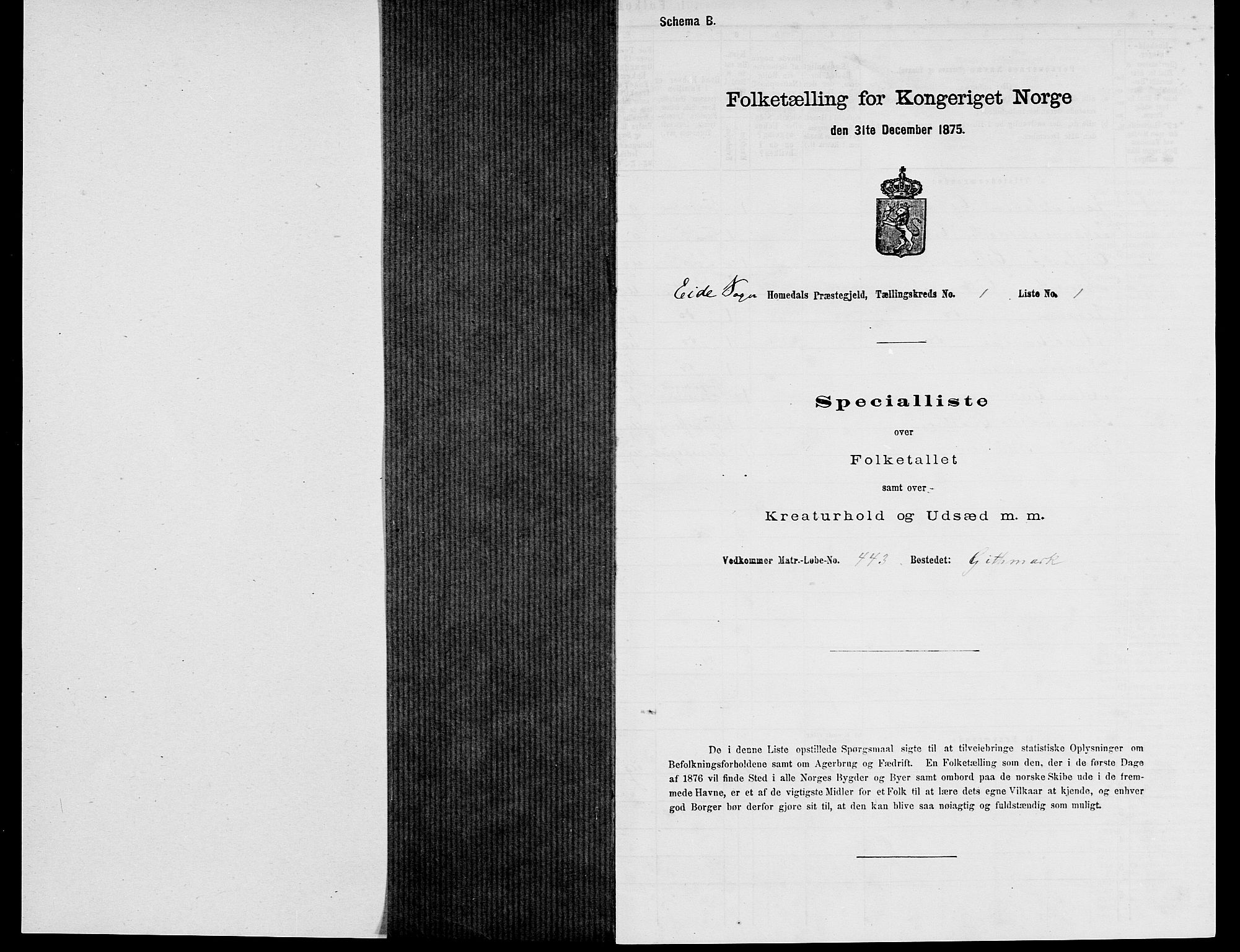 SAK, Folketelling 1875 for 0924P Homedal prestegjeld, 1875, s. 17