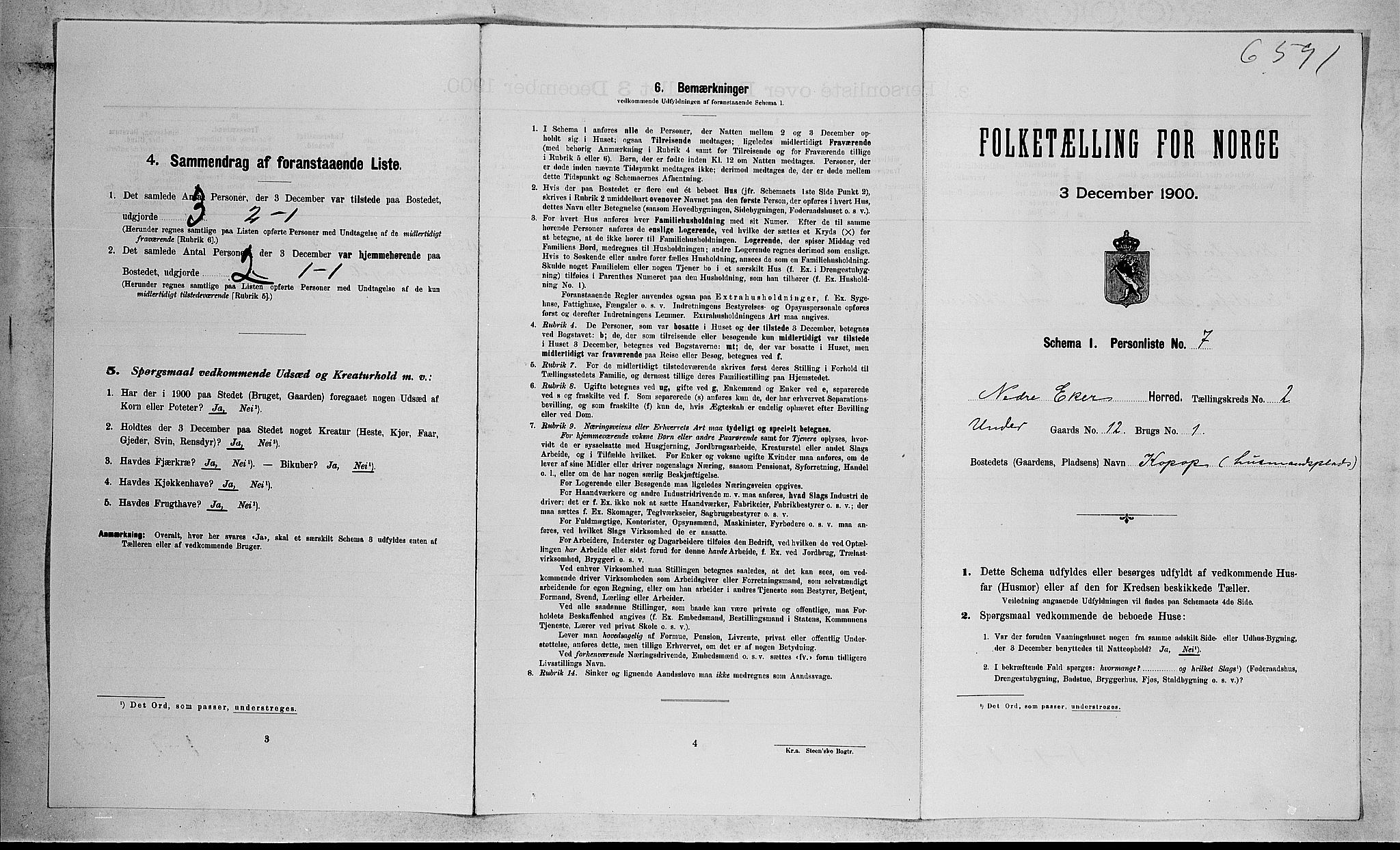 RA, Folketelling 1900 for 0625 Nedre Eiker herred, 1900, s. 262