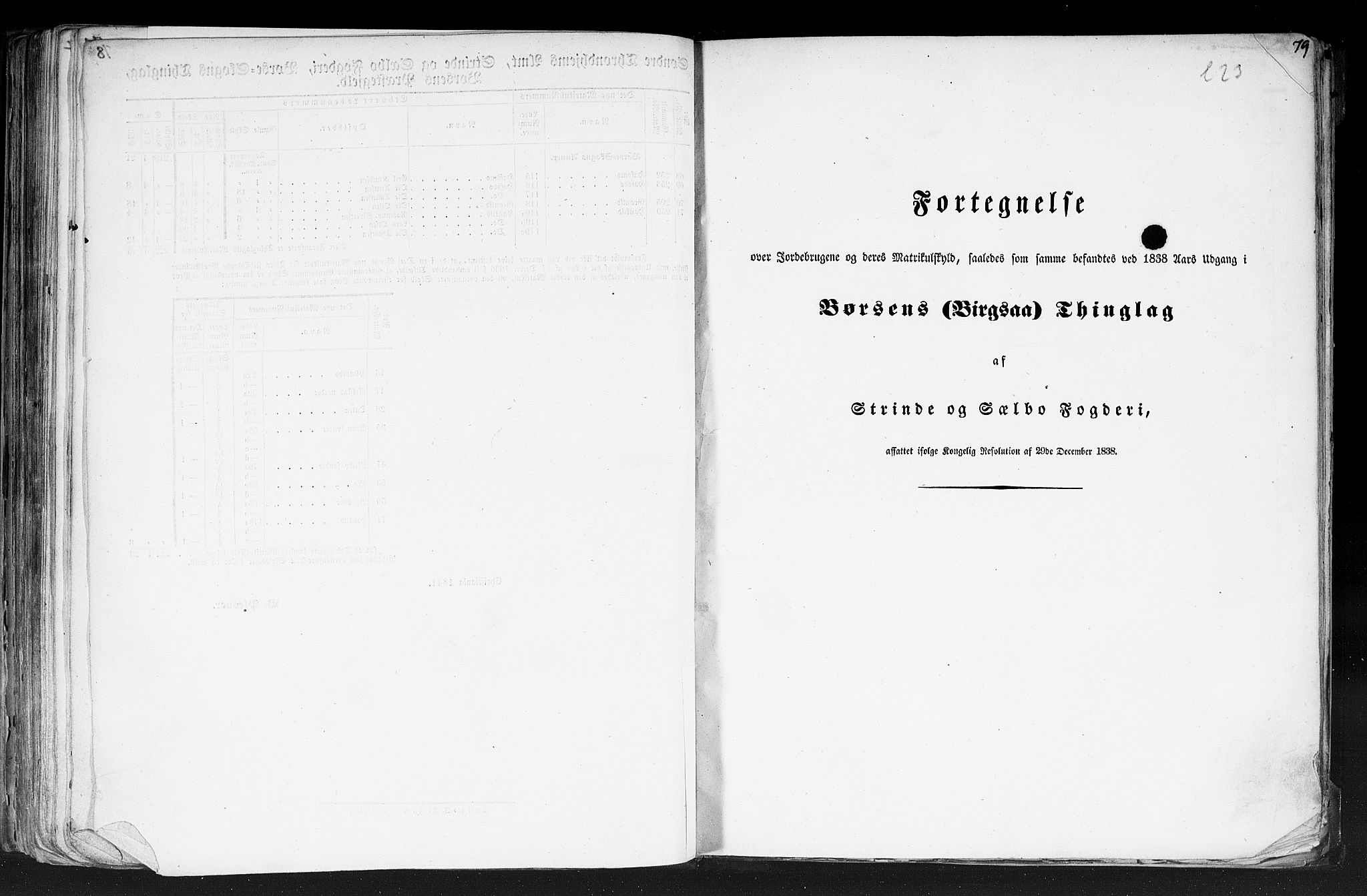Rygh, AV/RA-PA-0034/F/Fb/L0014: Matrikkelen for 1838 - Søndre Trondhjems amt (Sør-Trøndelag fylke), 1838, s. 79a
