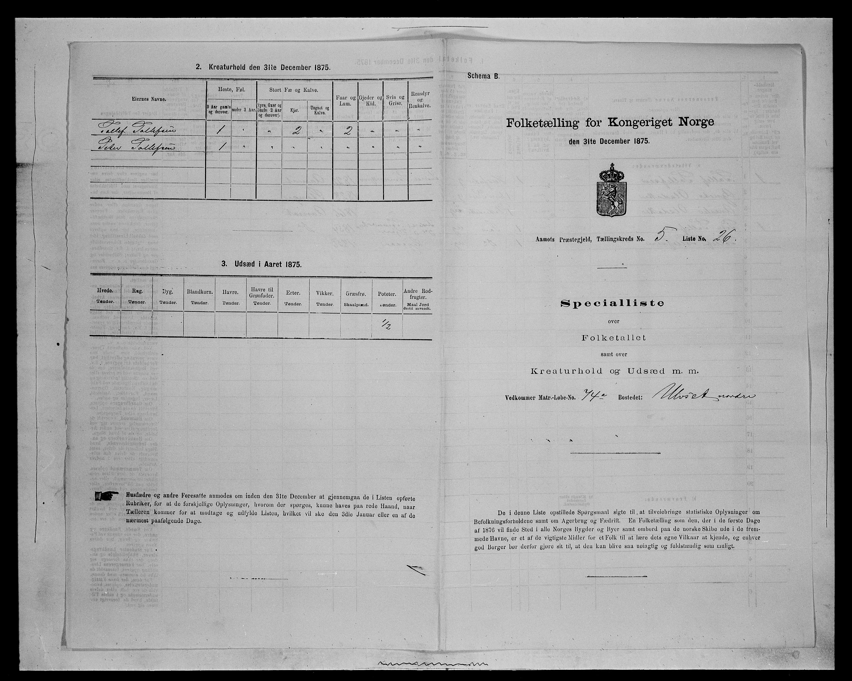 SAH, Folketelling 1875 for 0429P Åmot prestegjeld, 1875, s. 781