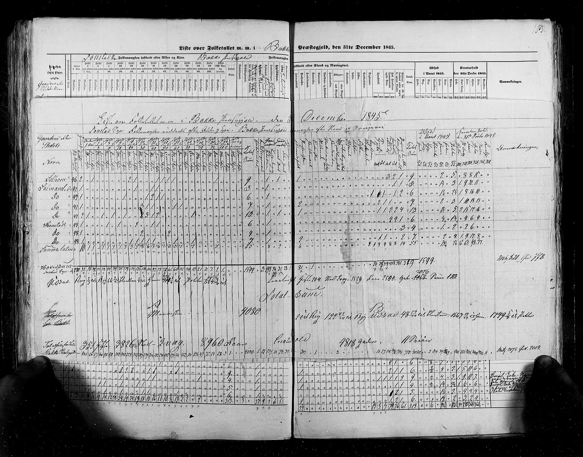 RA, Folketellingen 1845, bind 6: Lister og Mandal amt og Stavanger amt, 1845, s. 183