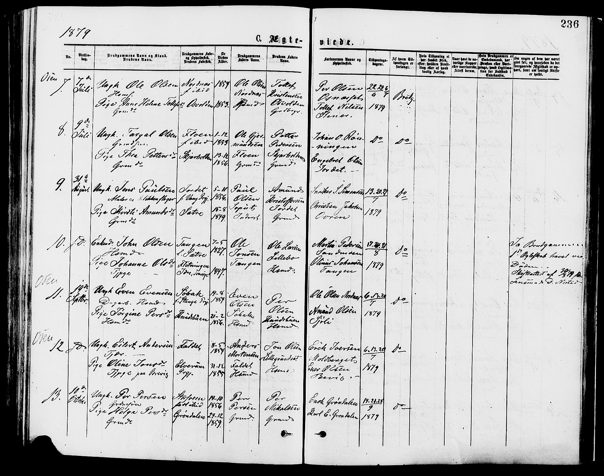 Trysil prestekontor, AV/SAH-PREST-046/H/Ha/Haa/L0007: Ministerialbok nr. 7, 1874-1880, s. 236