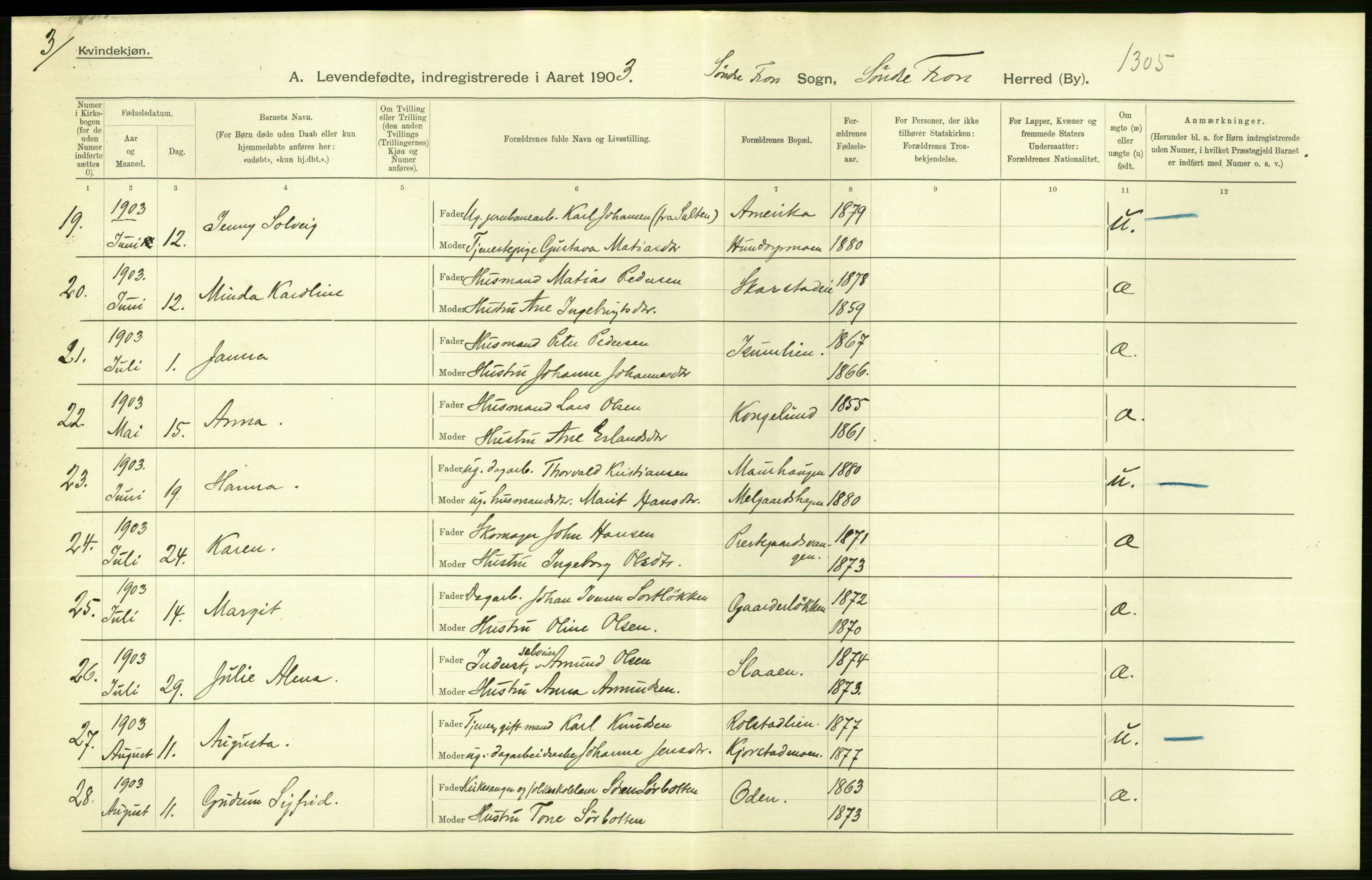 Statistisk sentralbyrå, Sosiodemografiske emner, Befolkning, AV/RA-S-2228/D/Df/Dfa/Dfaa/L0006: Kristians amt: Fødte, gifte, døde, 1903, s. 66