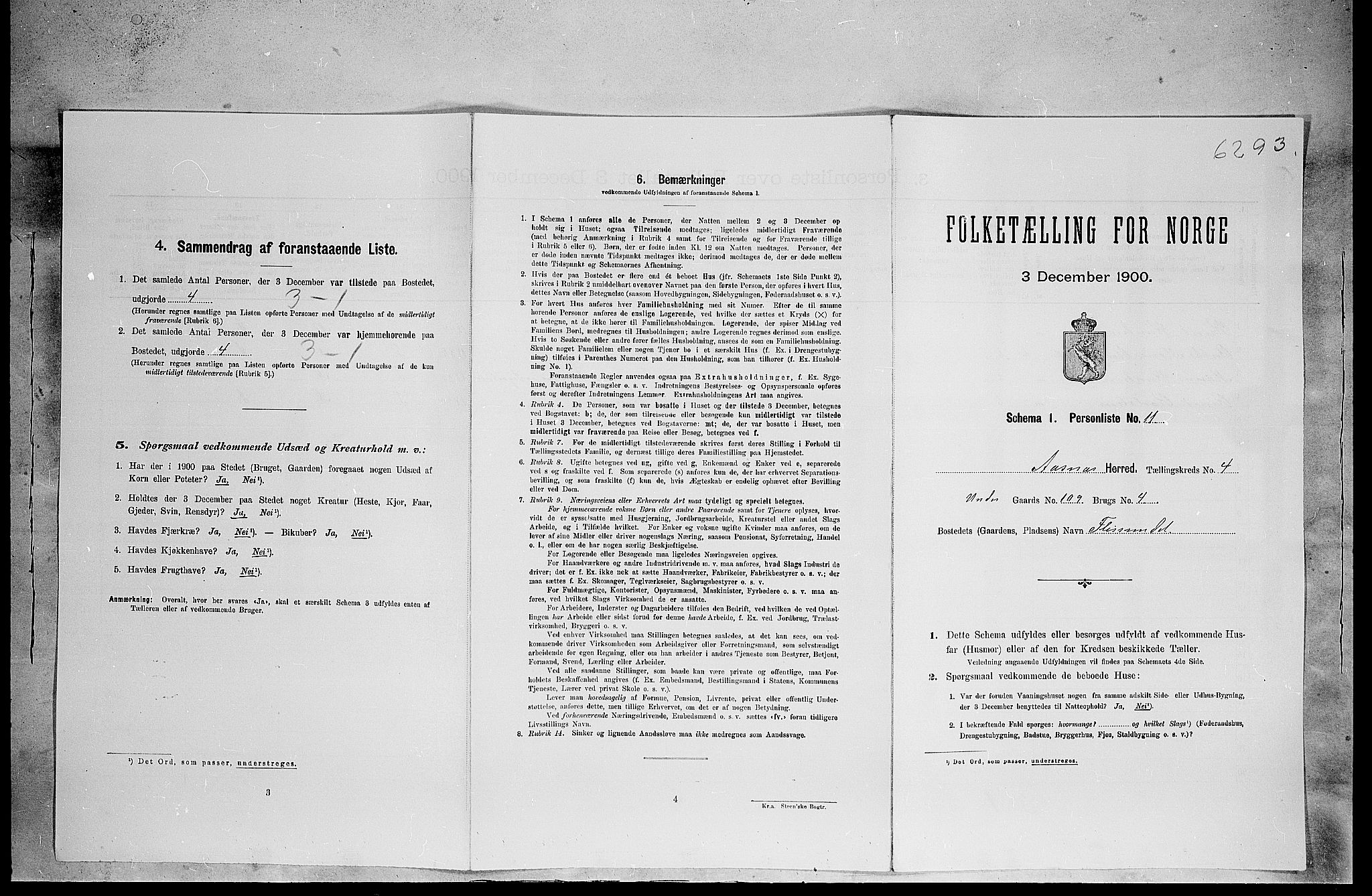 SAH, Folketelling 1900 for 0425 Åsnes herred, 1900, s. 587