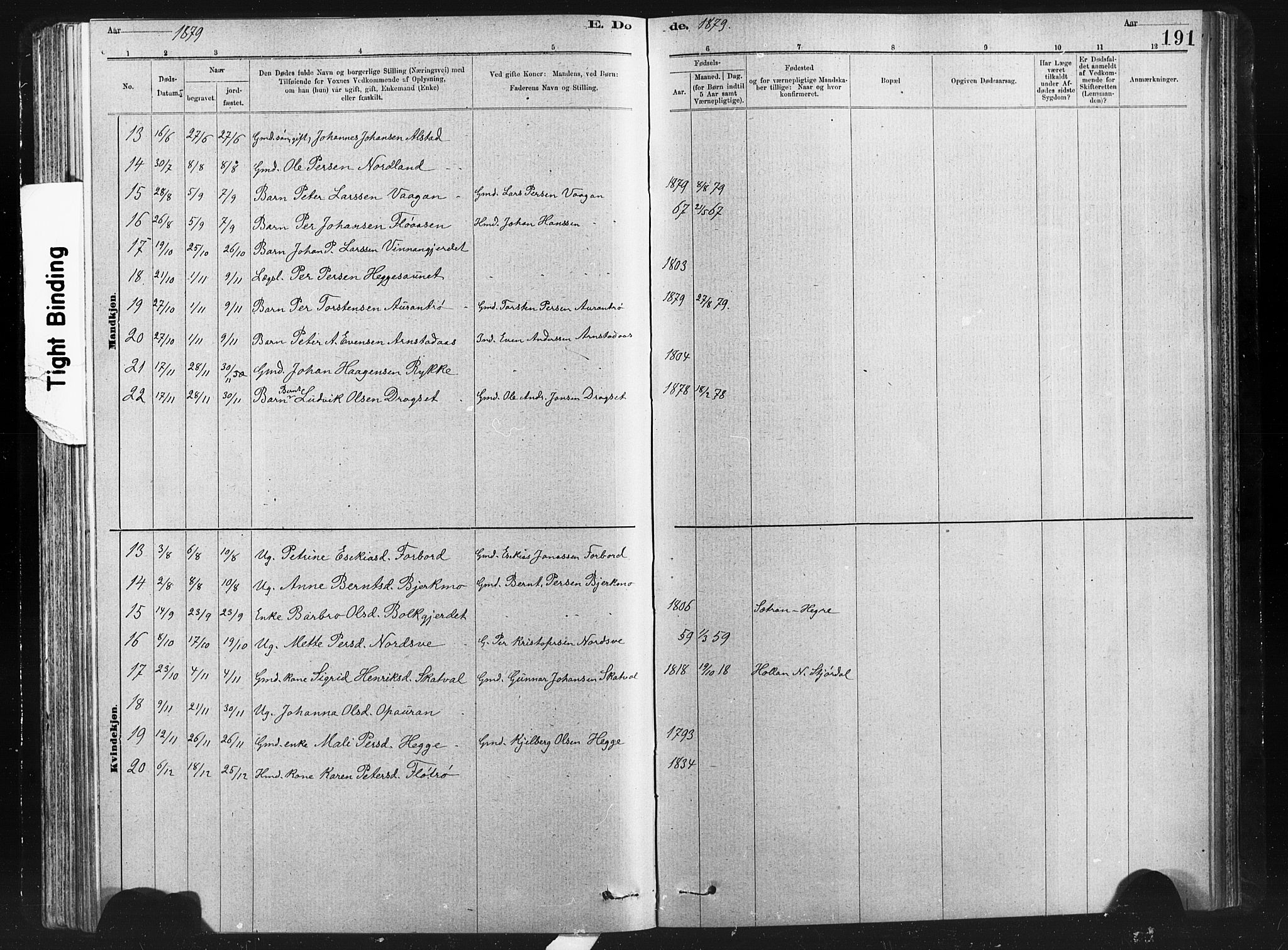 Ministerialprotokoller, klokkerbøker og fødselsregistre - Nord-Trøndelag, SAT/A-1458/712/L0103: Klokkerbok nr. 712C01, 1878-1917, s. 191