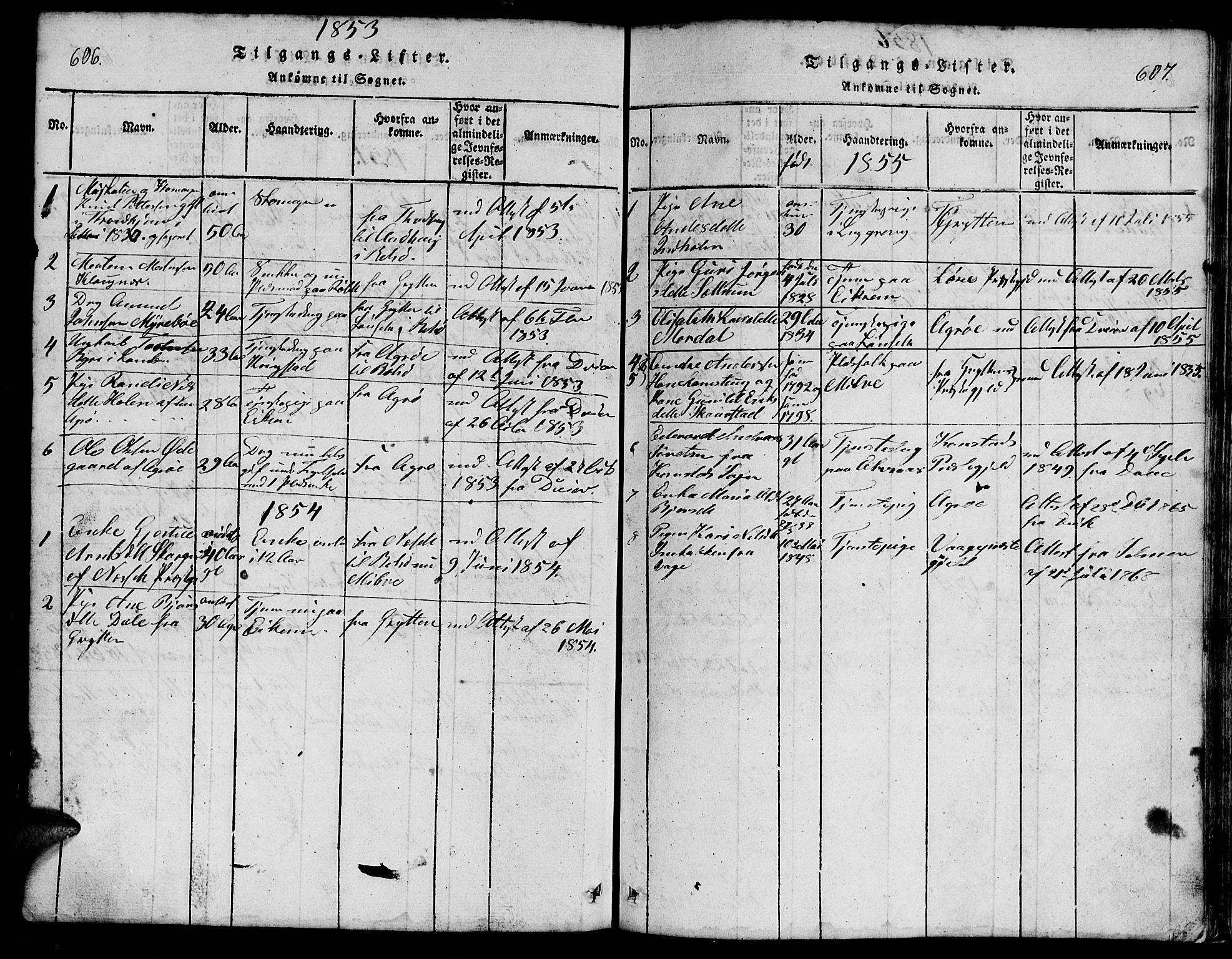 Ministerialprotokoller, klokkerbøker og fødselsregistre - Møre og Romsdal, SAT/A-1454/555/L0665: Klokkerbok nr. 555C01, 1818-1868, s. 606-607