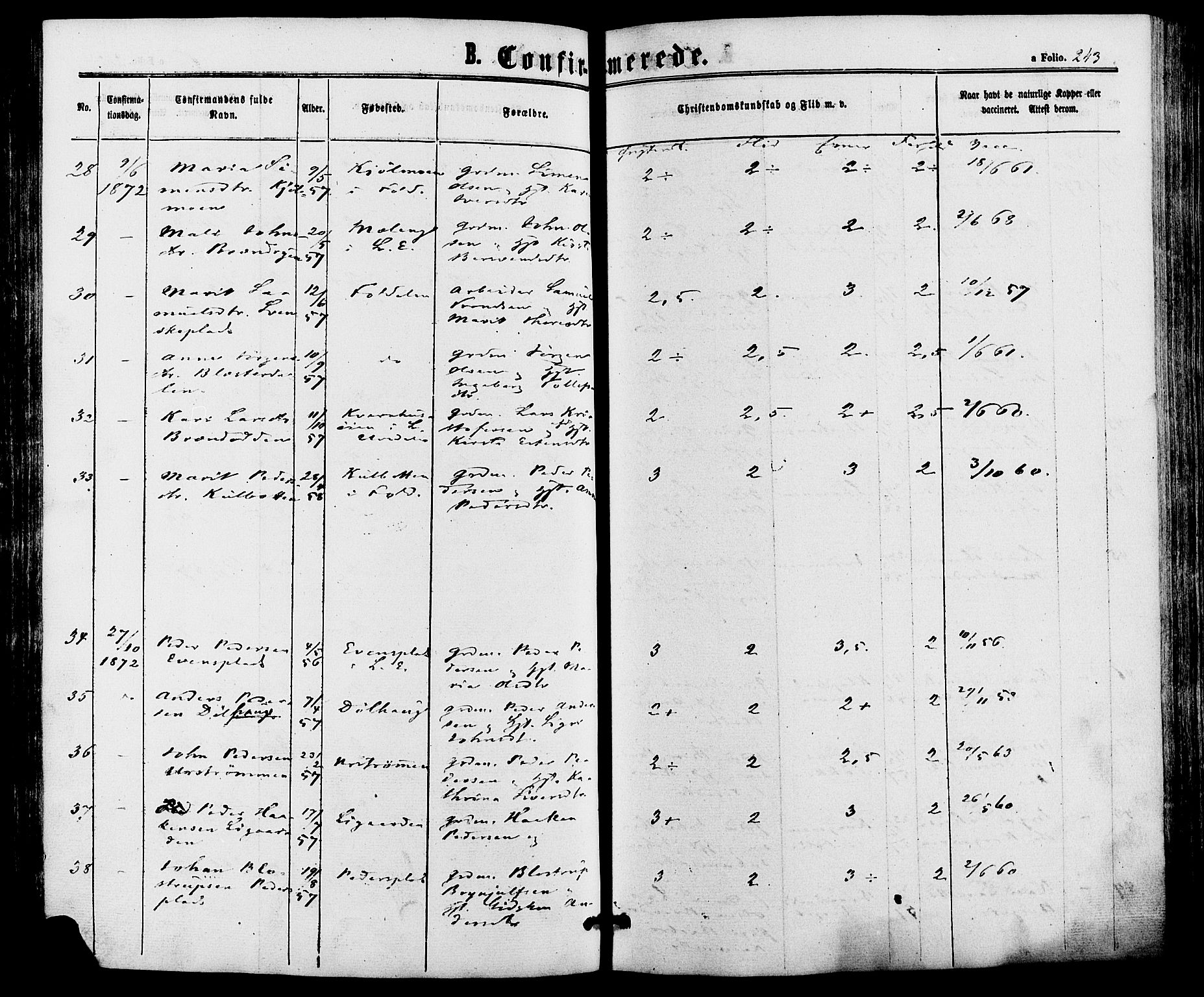 Alvdal prestekontor, AV/SAH-PREST-060/H/Ha/Haa/L0001: Ministerialbok nr. 1, 1863-1882, s. 243