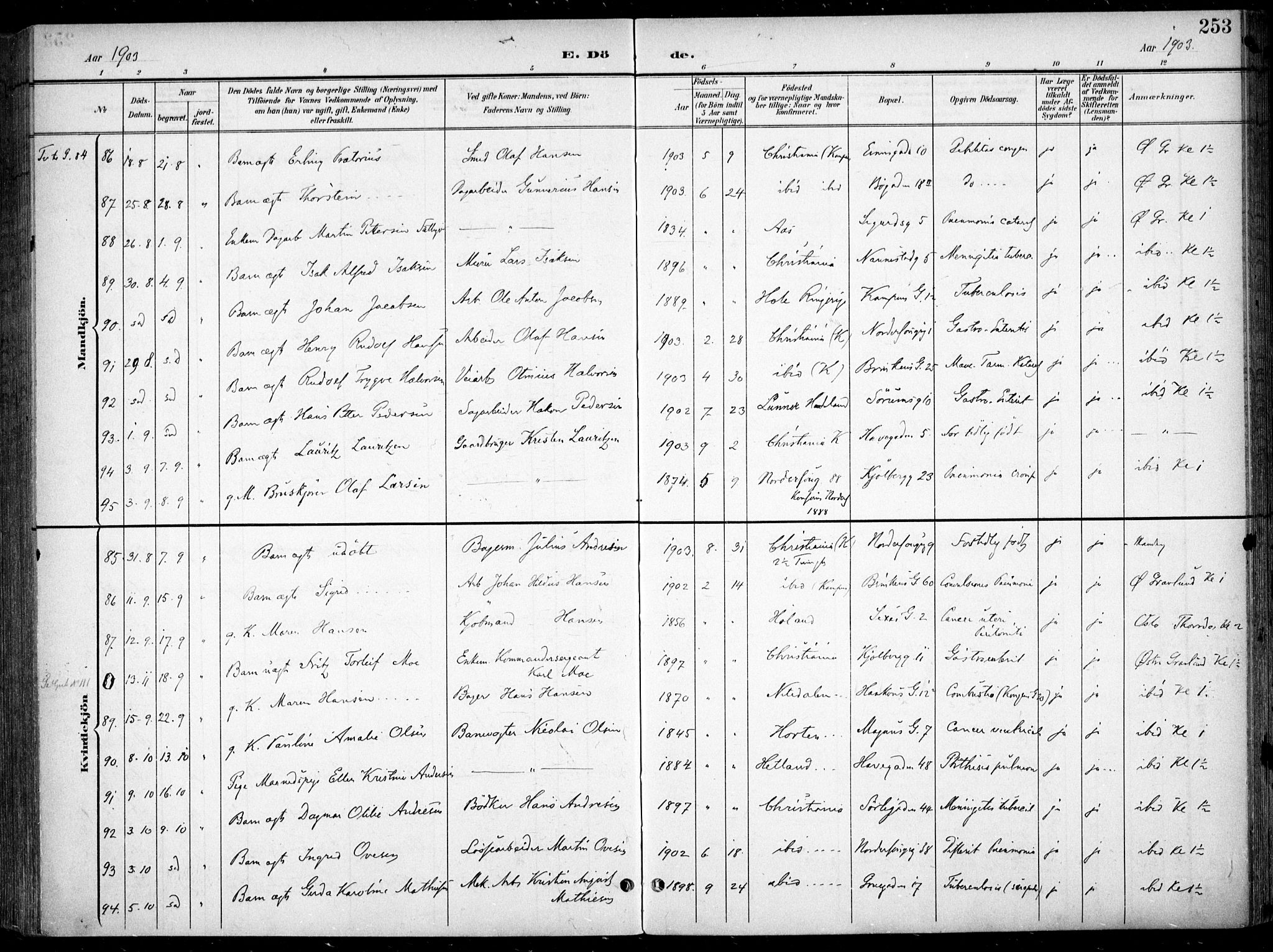 Kampen prestekontor Kirkebøker, AV/SAO-A-10853/F/Fa/L0009: Ministerialbok nr. I 9, 1899-1911, s. 253
