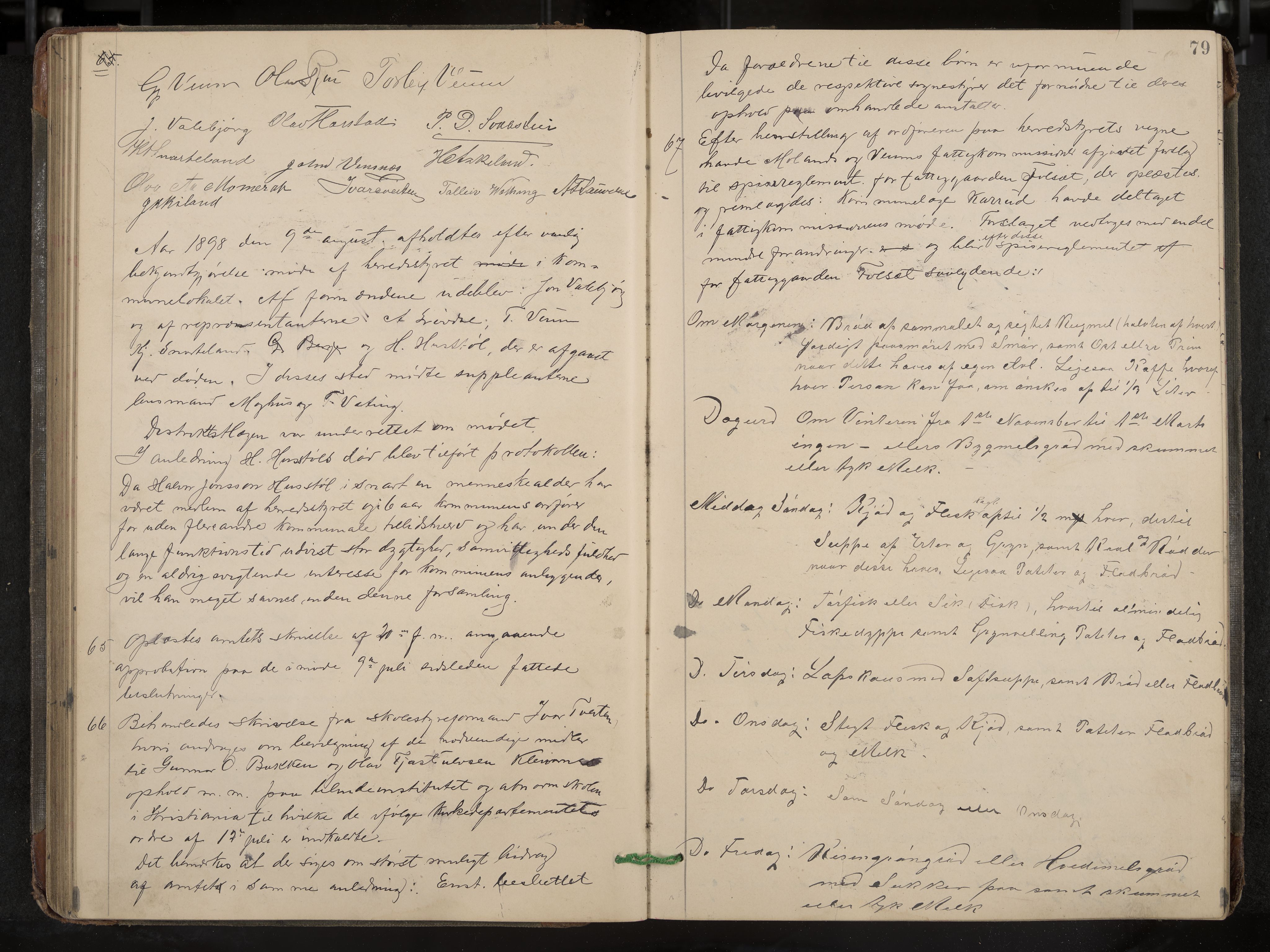 Fyresdal formannskap og sentraladministrasjon, IKAK/0831021-1/Aa/L0003: Møtebok, 1894-1903, s. 79