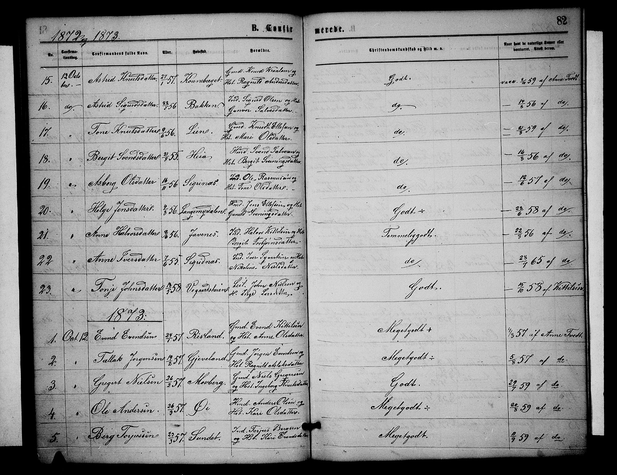 Åmli sokneprestkontor, SAK/1111-0050/F/Fb/Fbc/L0003: Klokkerbok nr. B 3, 1868-1888, s. 82