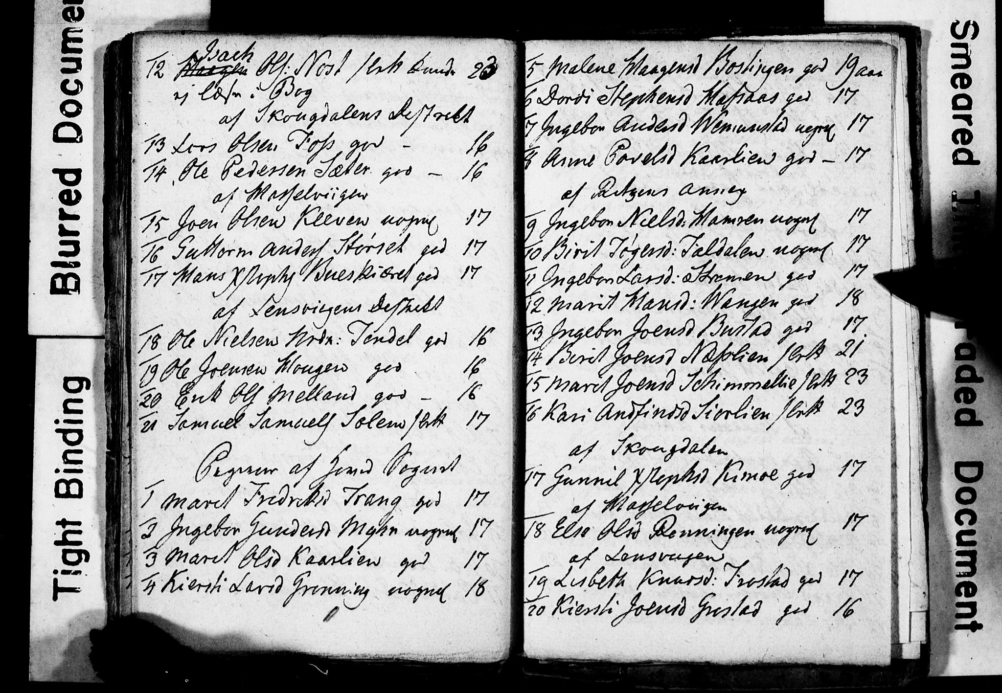 Ministerialprotokoller, klokkerbøker og fødselsregistre - Sør-Trøndelag, AV/SAT-A-1456/646/L0614: Ministerialbok nr. 646A12, 1760-1798