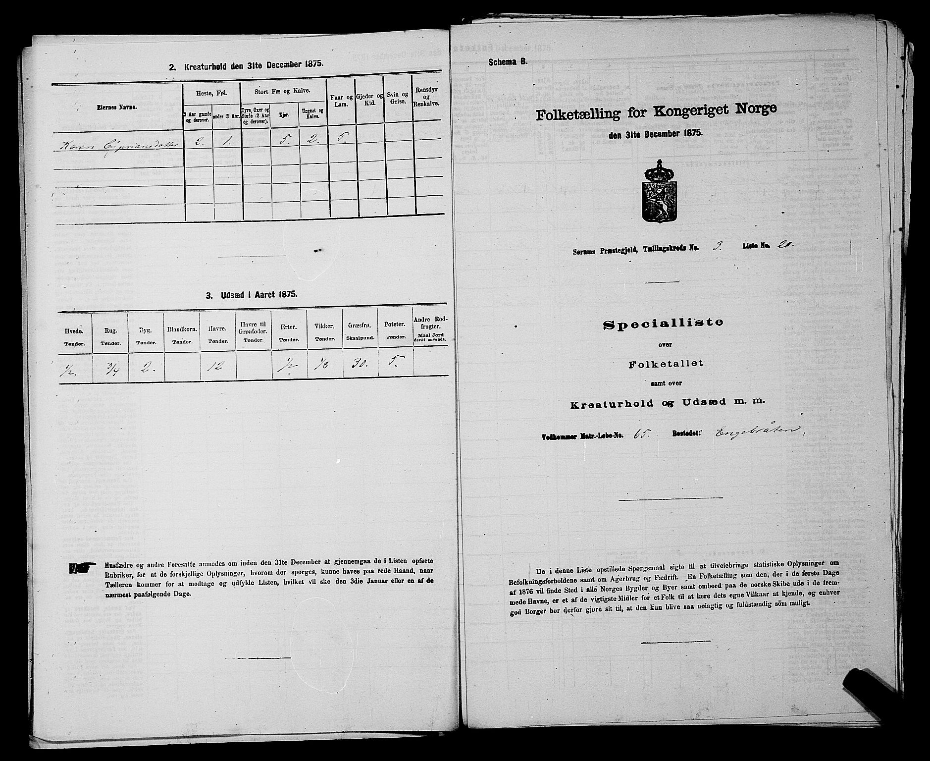 RA, Folketelling 1875 for 0226P Sørum prestegjeld, 1875, s. 319