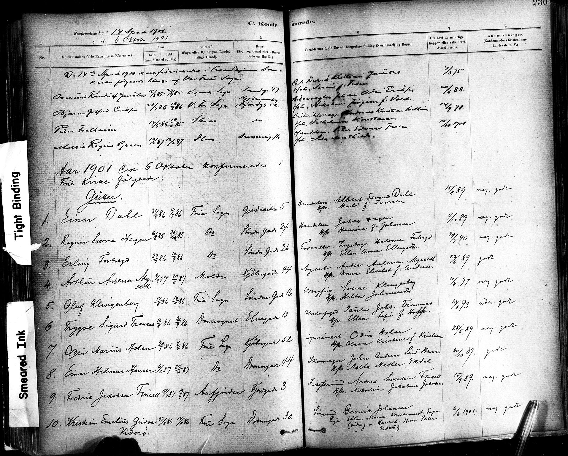 Ministerialprotokoller, klokkerbøker og fødselsregistre - Sør-Trøndelag, AV/SAT-A-1456/602/L0119: Ministerialbok nr. 602A17, 1880-1901, s. 230