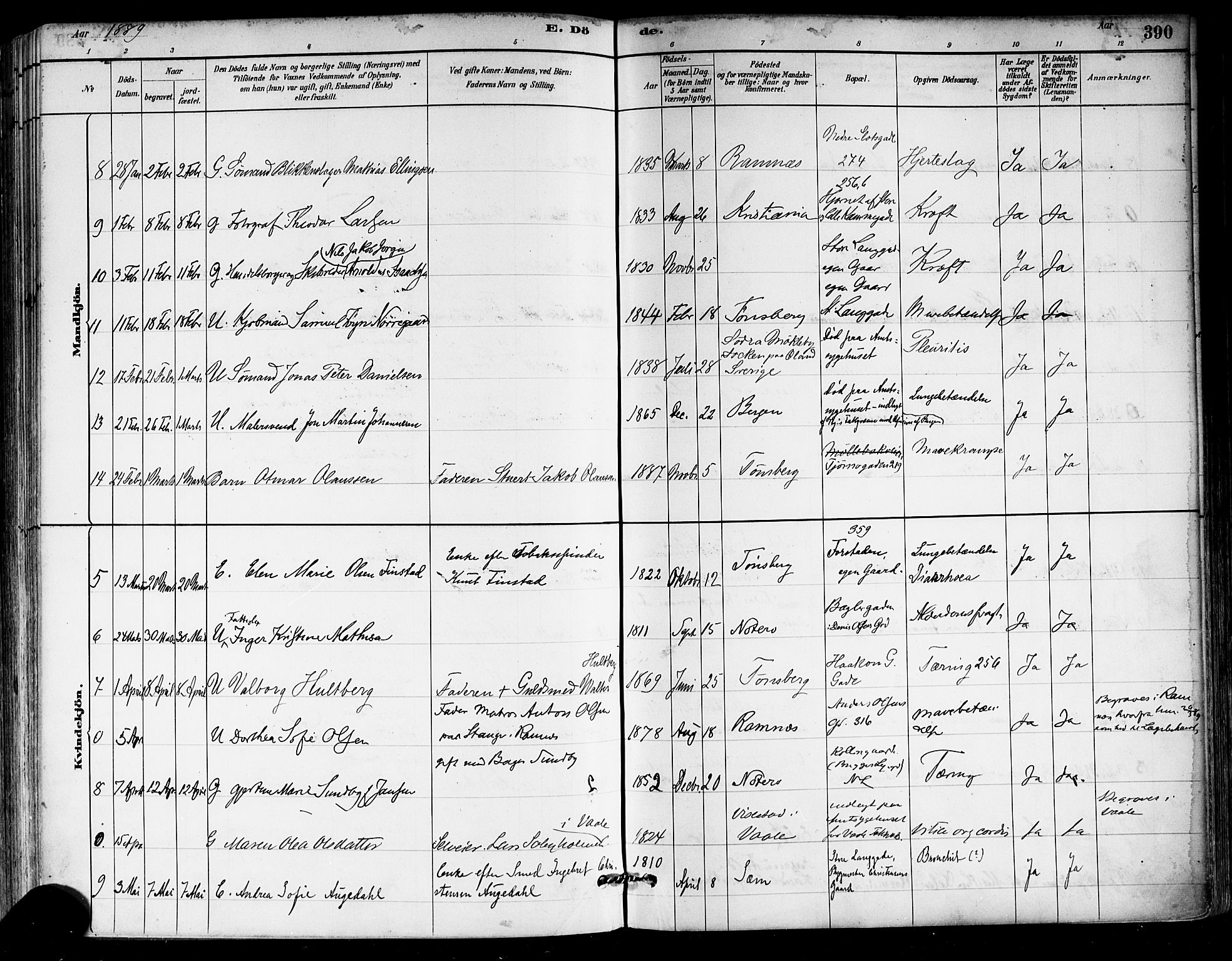 Tønsberg kirkebøker, AV/SAKO-A-330/F/Fa/L0011: Ministerialbok nr. I 11, 1881-1890, s. 390