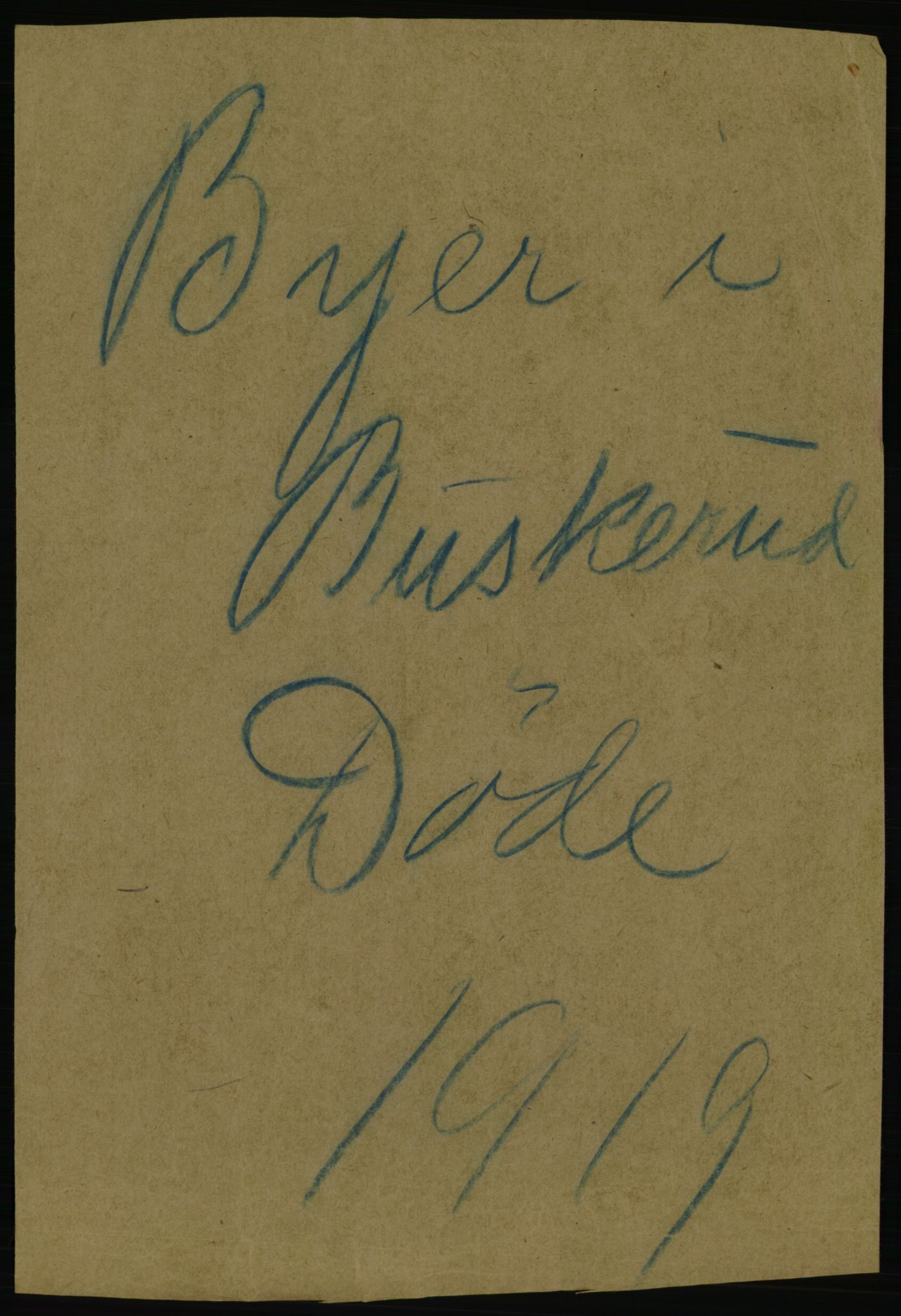 Statistisk sentralbyrå, Sosiodemografiske emner, Befolkning, AV/RA-S-2228/D/Df/Dfb/Dfbi/L0018: Buskerud fylke: Døde. Bygder og byer., 1919, s. 349