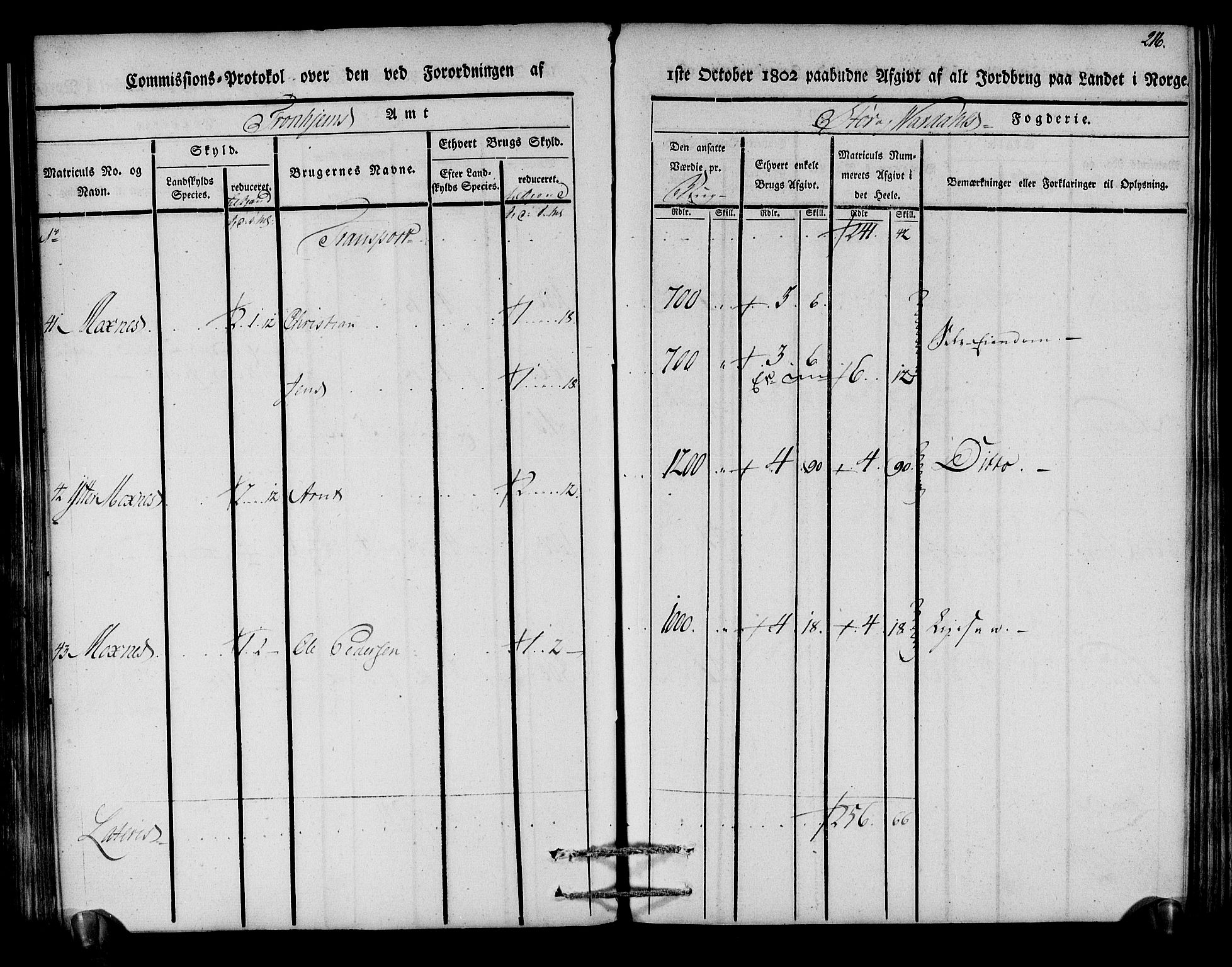 Rentekammeret inntil 1814, Realistisk ordnet avdeling, AV/RA-EA-4070/N/Ne/Nea/L0148: Stjørdal og Verdal fogderi. Kommisjonsprotokoll, 1803, s. 217