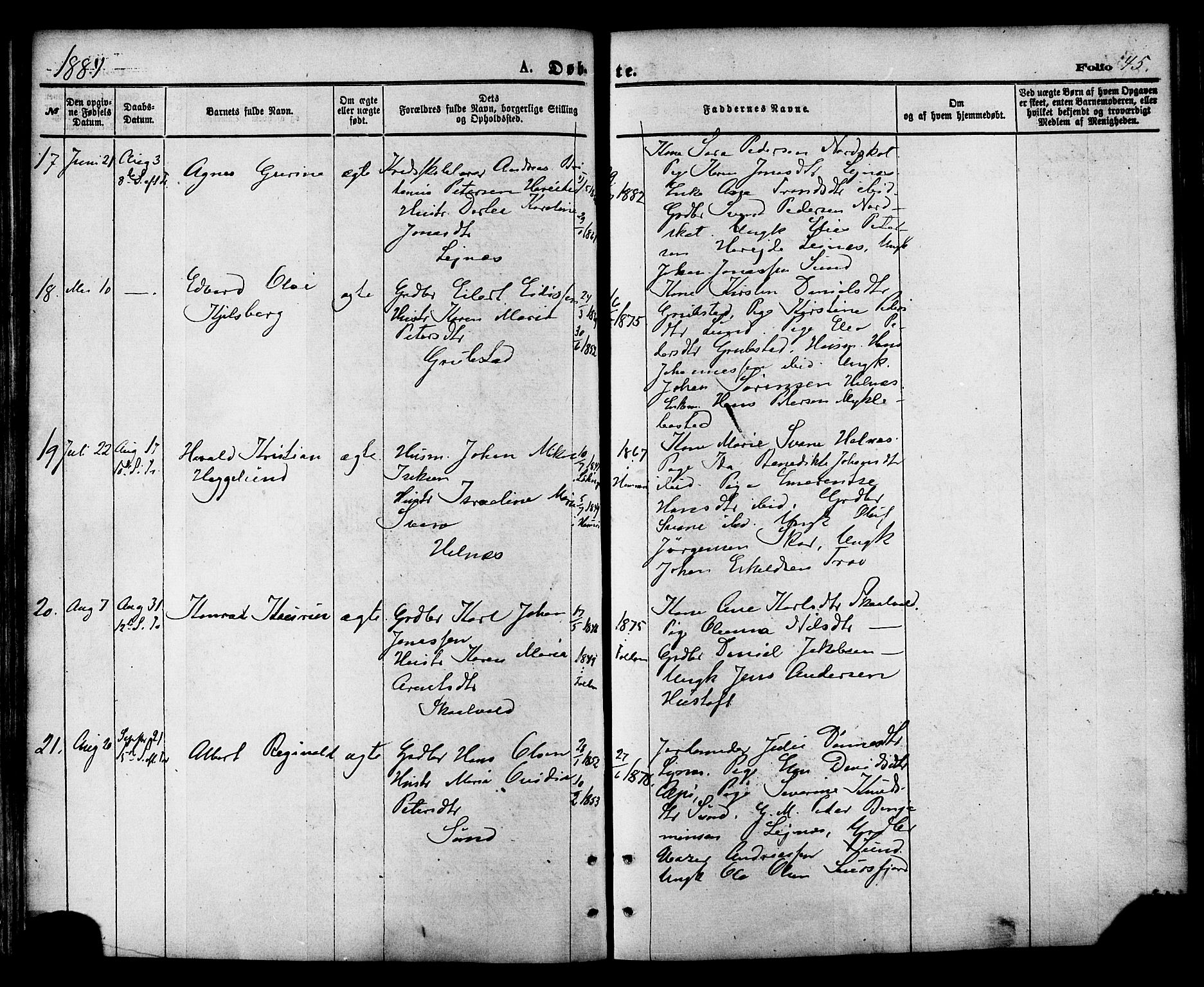 Ministerialprotokoller, klokkerbøker og fødselsregistre - Nordland, AV/SAT-A-1459/857/L0821: Ministerialbok nr. 857A01, 1875-1889, s. 45