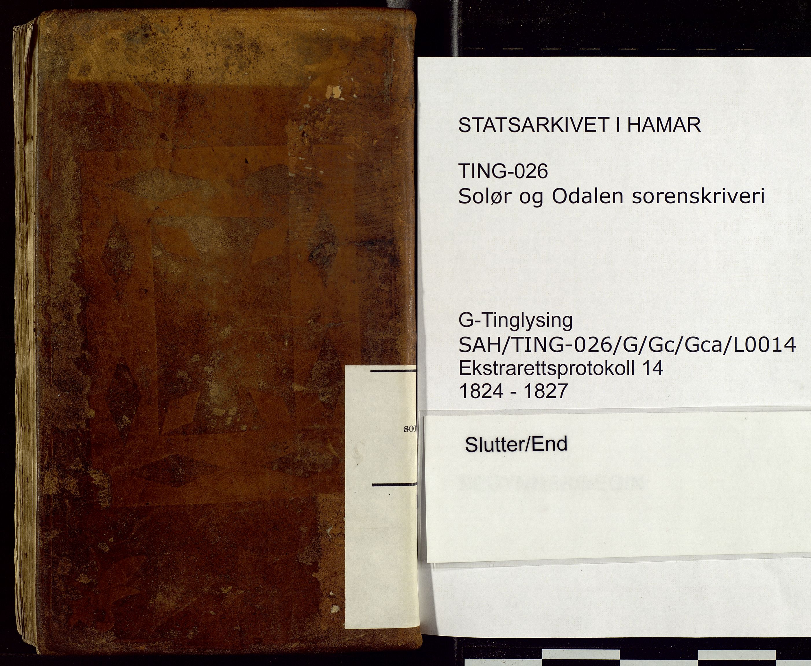 Solør og Odalen sorenskriveri, SAH/TING-026/G/Gc/Gca/L0014: Justis- og politisaker, 1824-1827