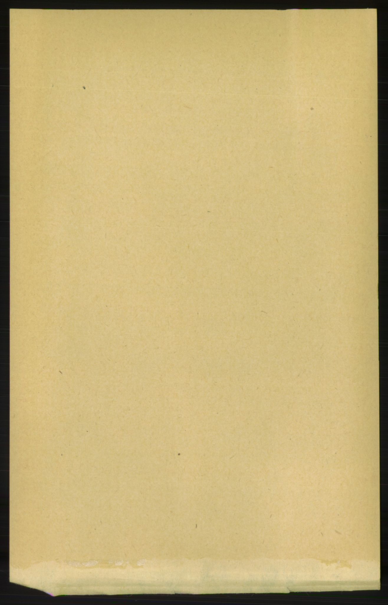 RA, Folketelling 1891 for 1569 Aure herred, 1891, s. 2010