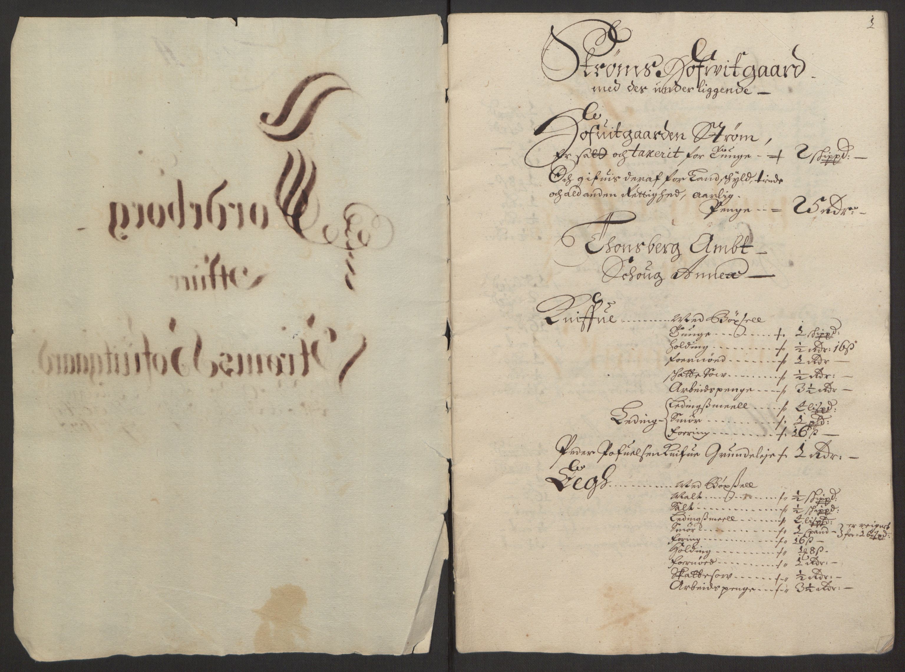 Rentekammeret inntil 1814, Reviderte regnskaper, Fogderegnskap, AV/RA-EA-4092/R32/L1844: Fogderegnskap Jarlsberg grevskap, 1674-1675, s. 387