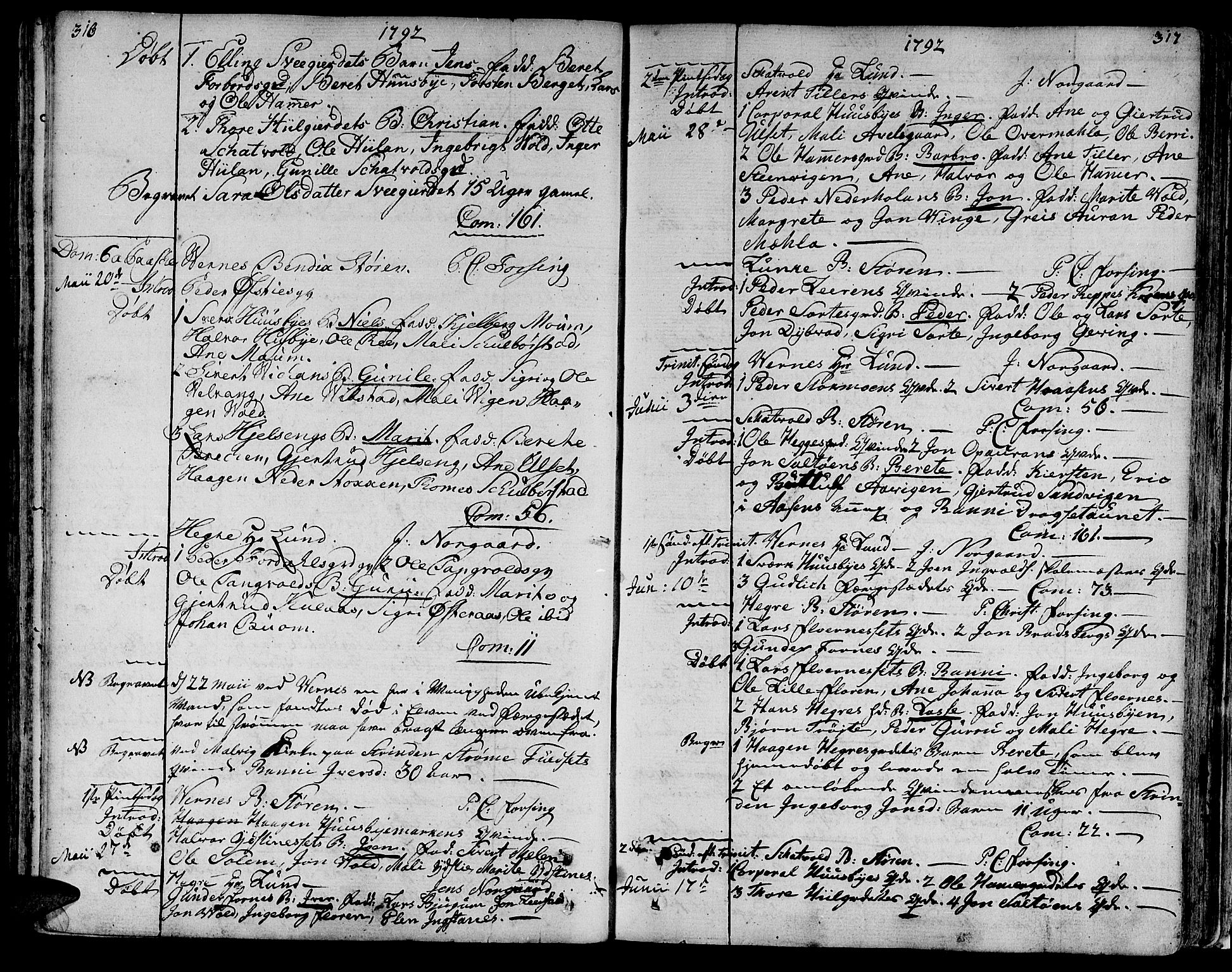 Ministerialprotokoller, klokkerbøker og fødselsregistre - Nord-Trøndelag, AV/SAT-A-1458/709/L0059: Ministerialbok nr. 709A06, 1781-1797, s. 316-317