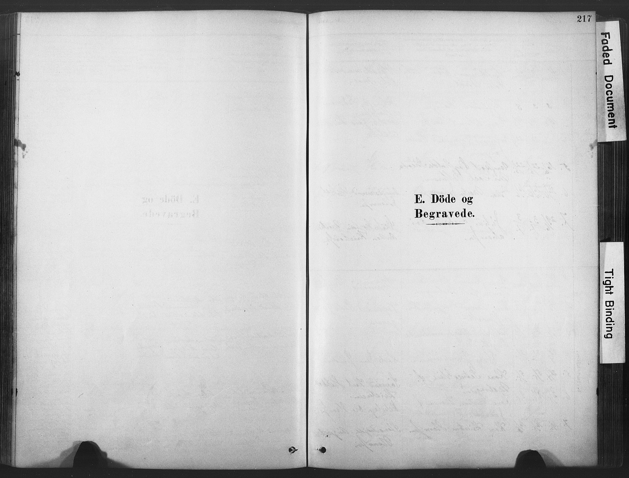 Stavern kirkebøker, AV/SAKO-A-318/F/Fa/L0008: Ministerialbok nr. 8, 1878-1905, s. 217