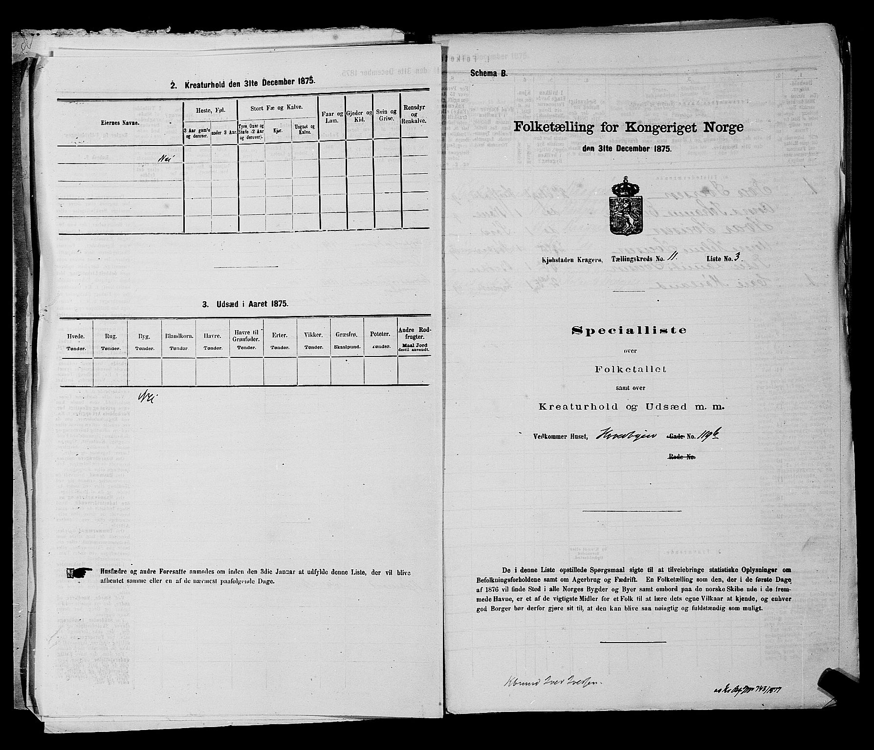 SAKO, Folketelling 1875 for 0801P Kragerø prestegjeld, 1875, s. 239